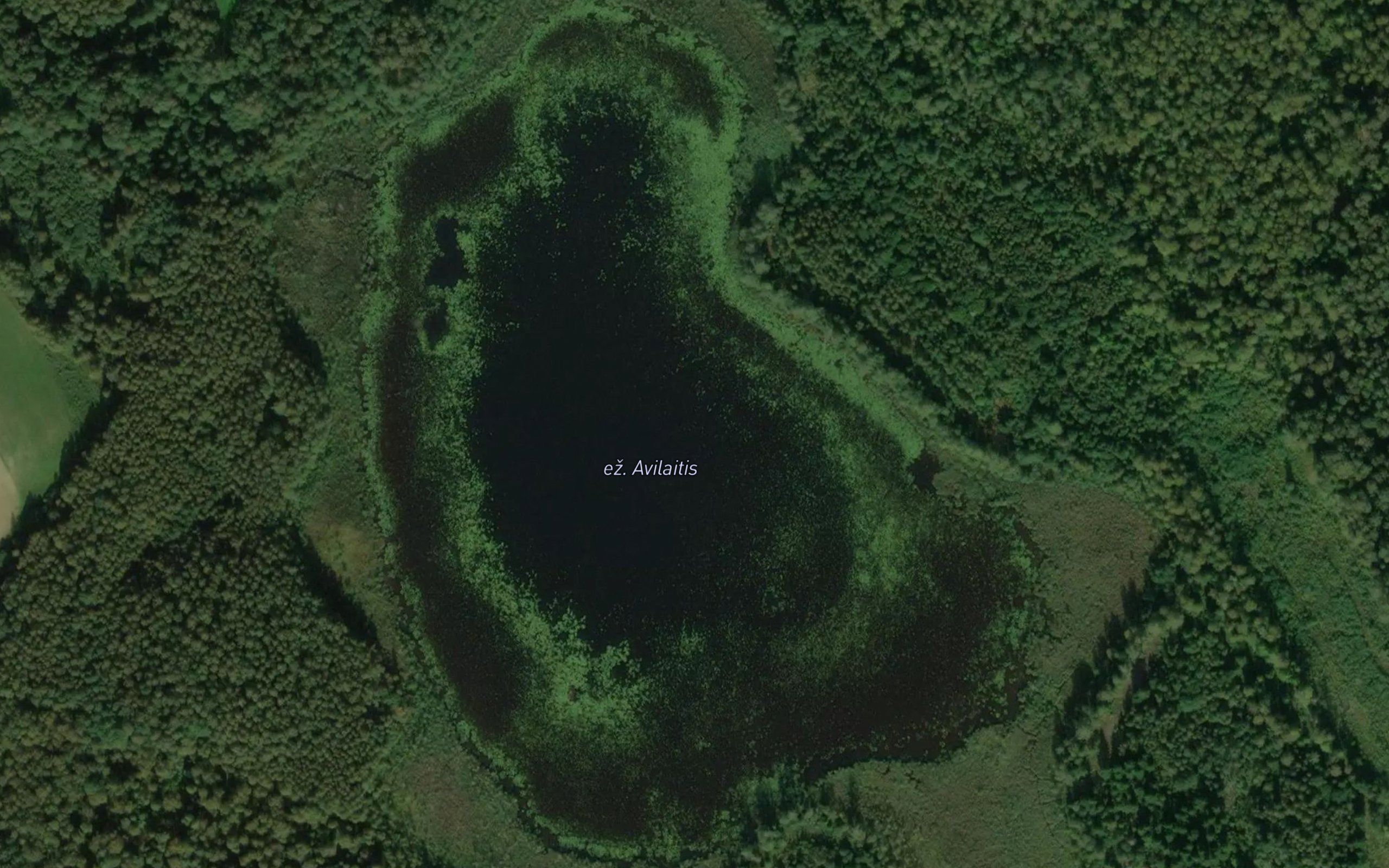 Ezeras Avilaitis