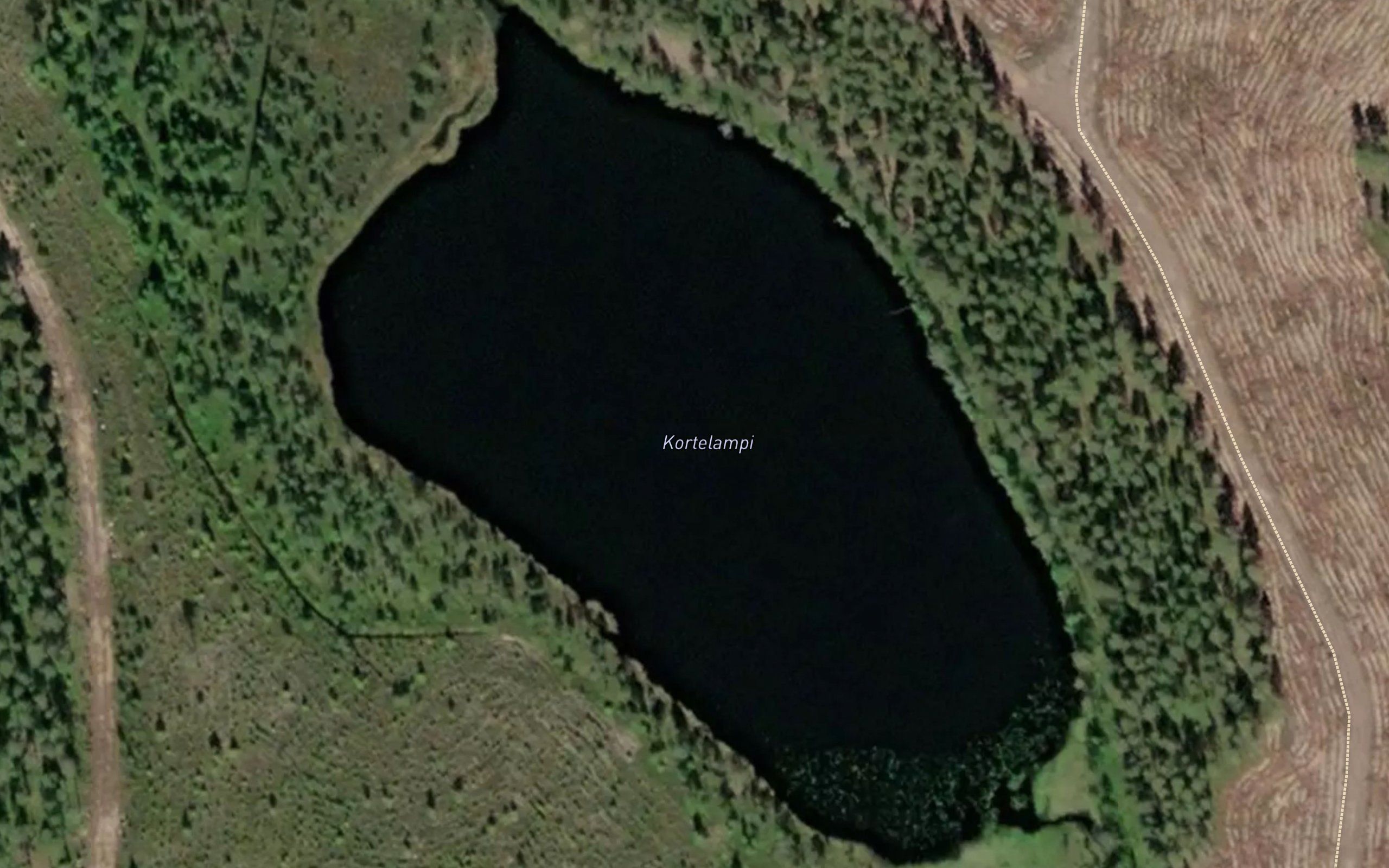 Kortelampi
