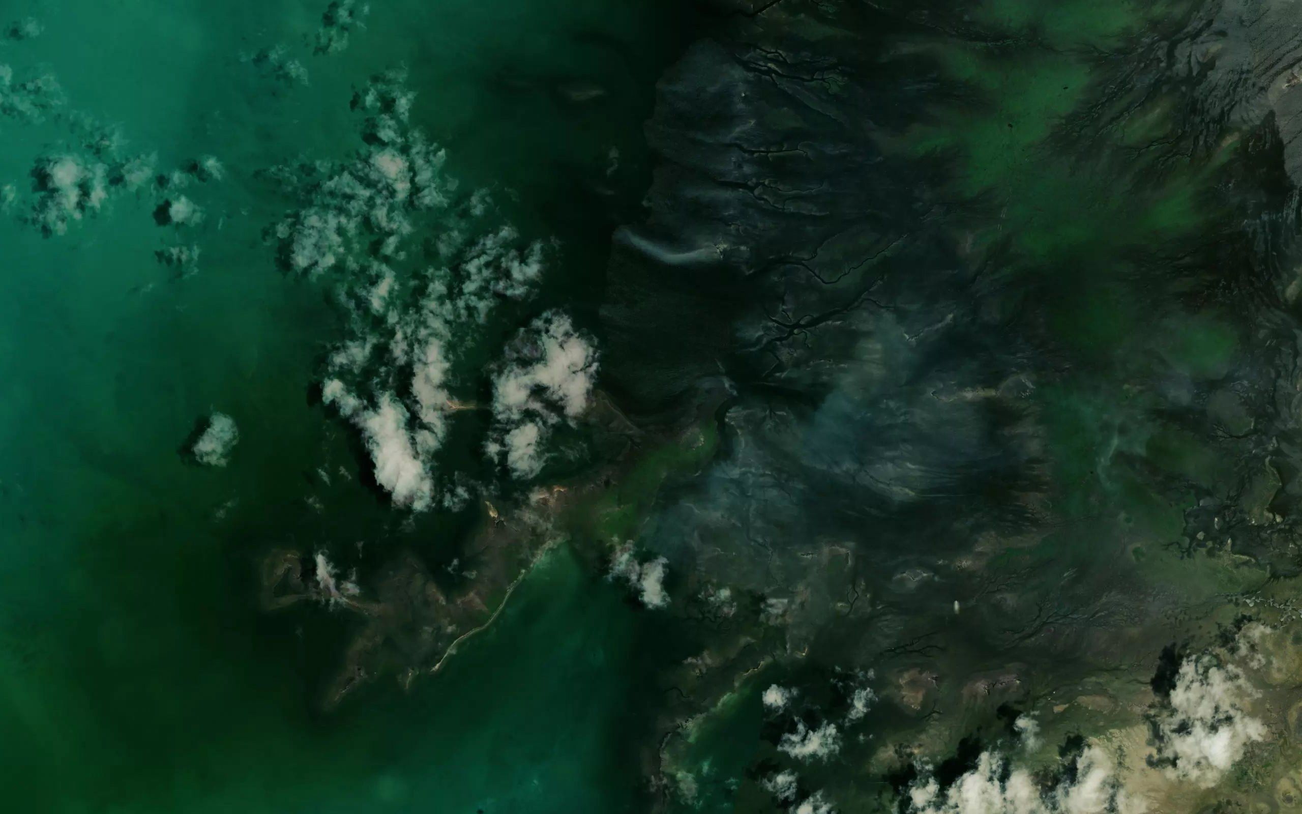 Porpoise Creek