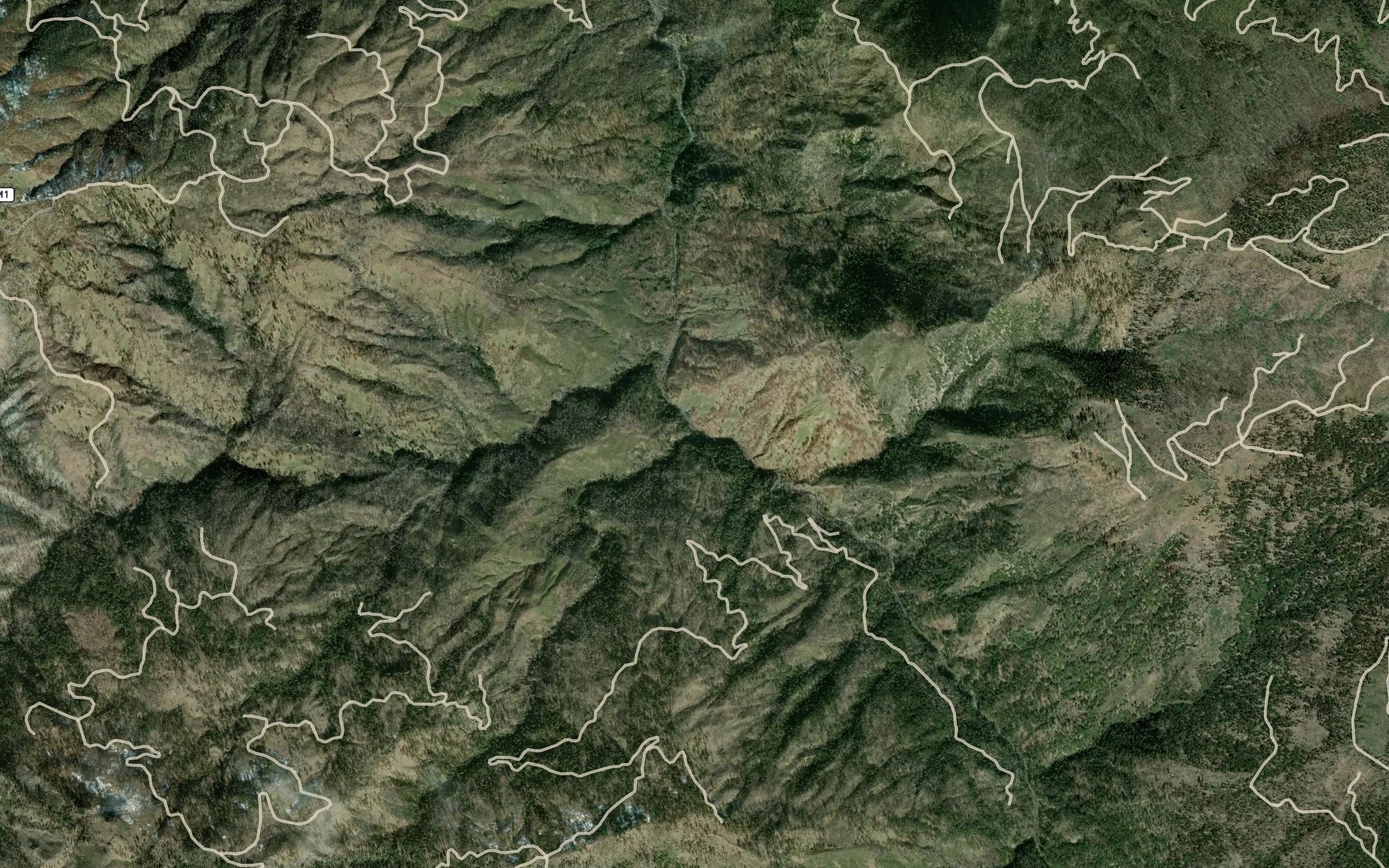 Satellite map of the Buckhorn Creek