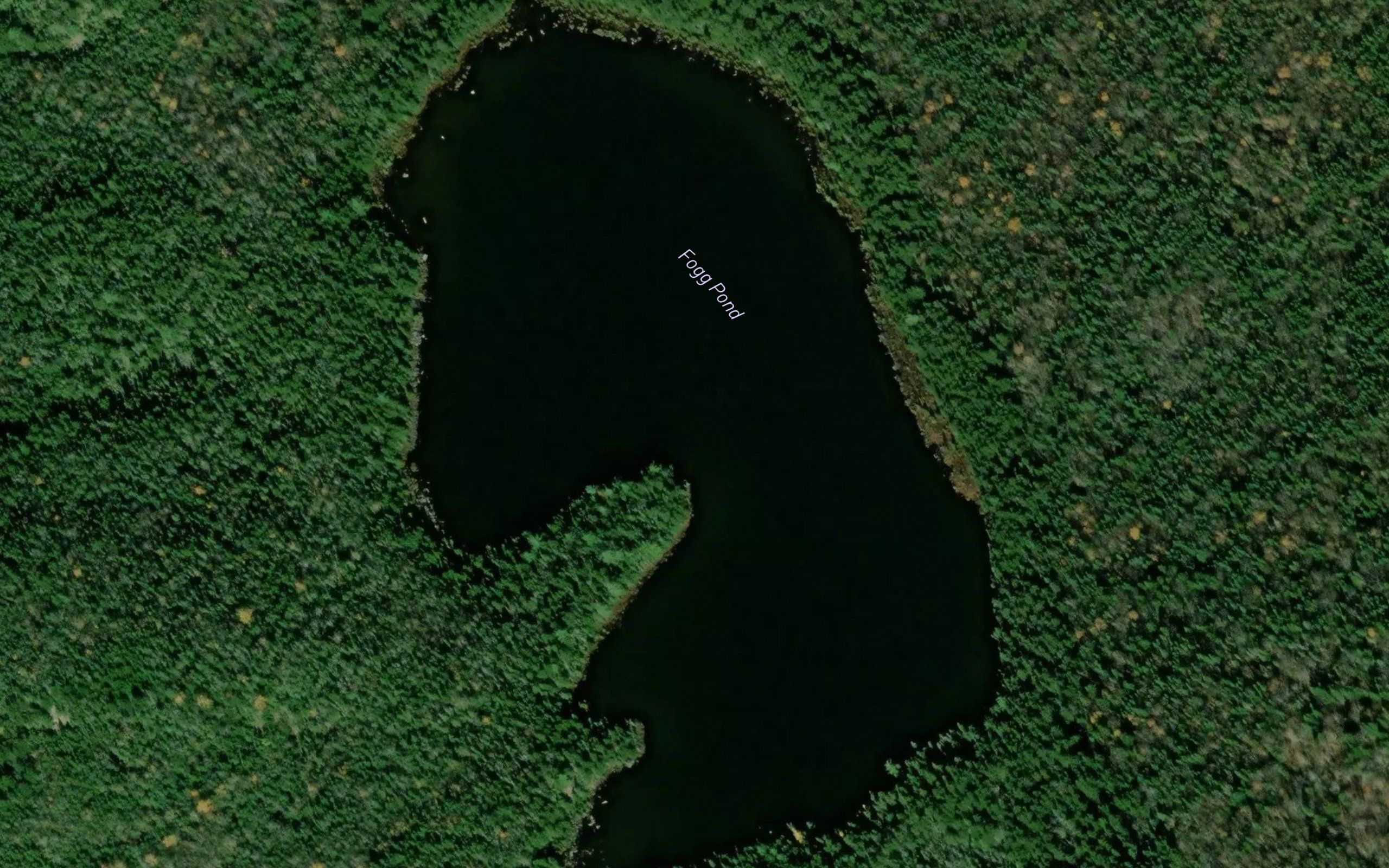Fogg Pond