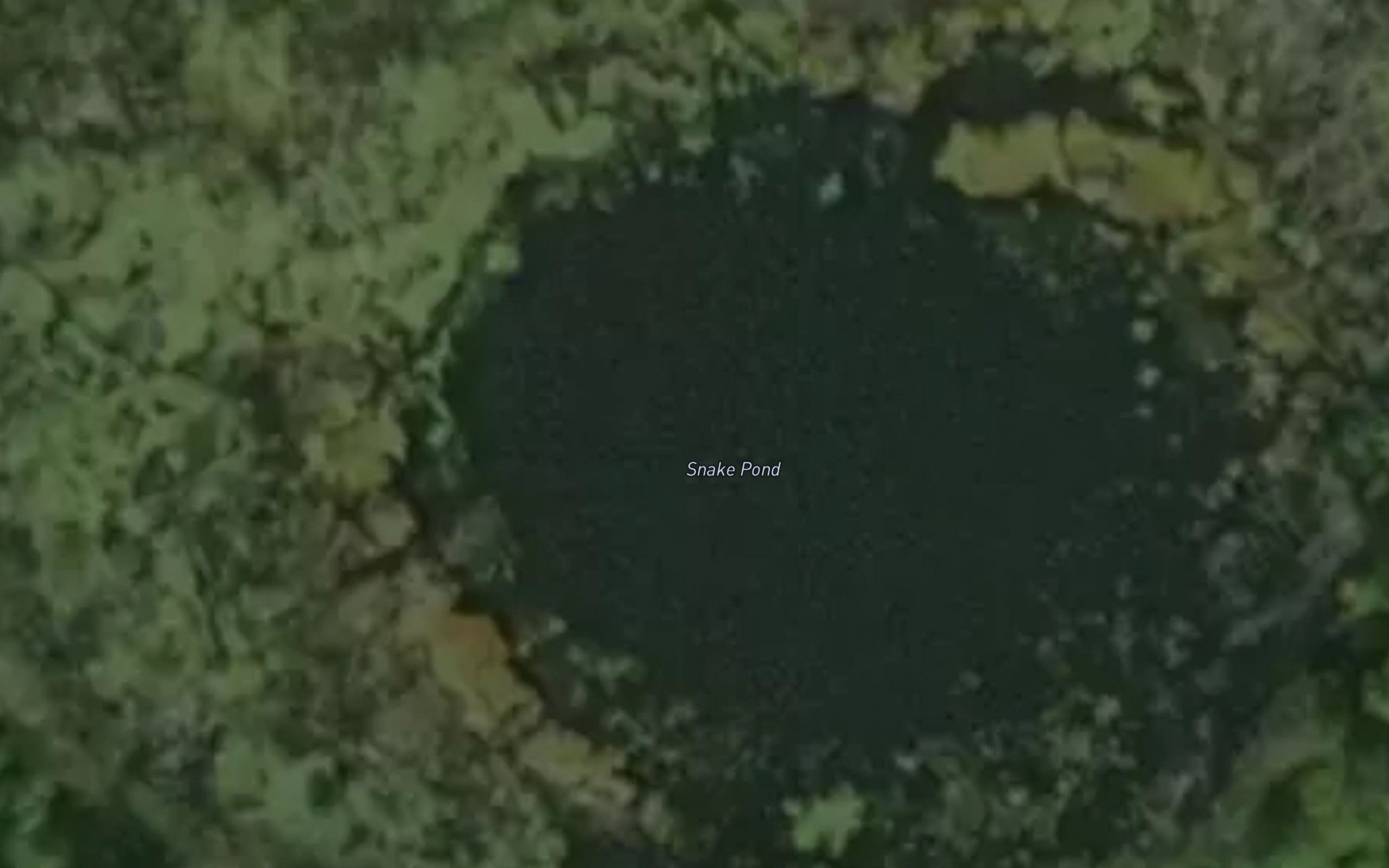 Snake Pond