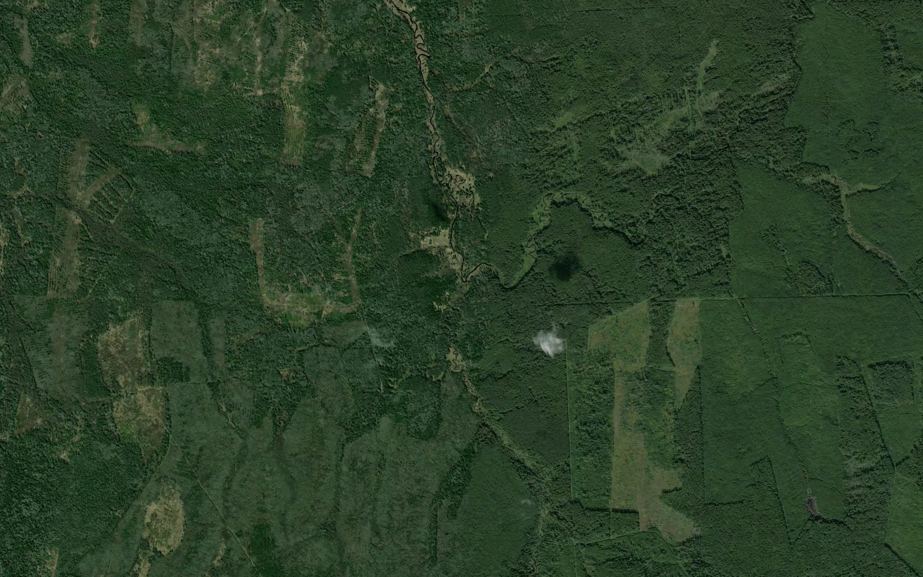 Satellite map of the Ripishna