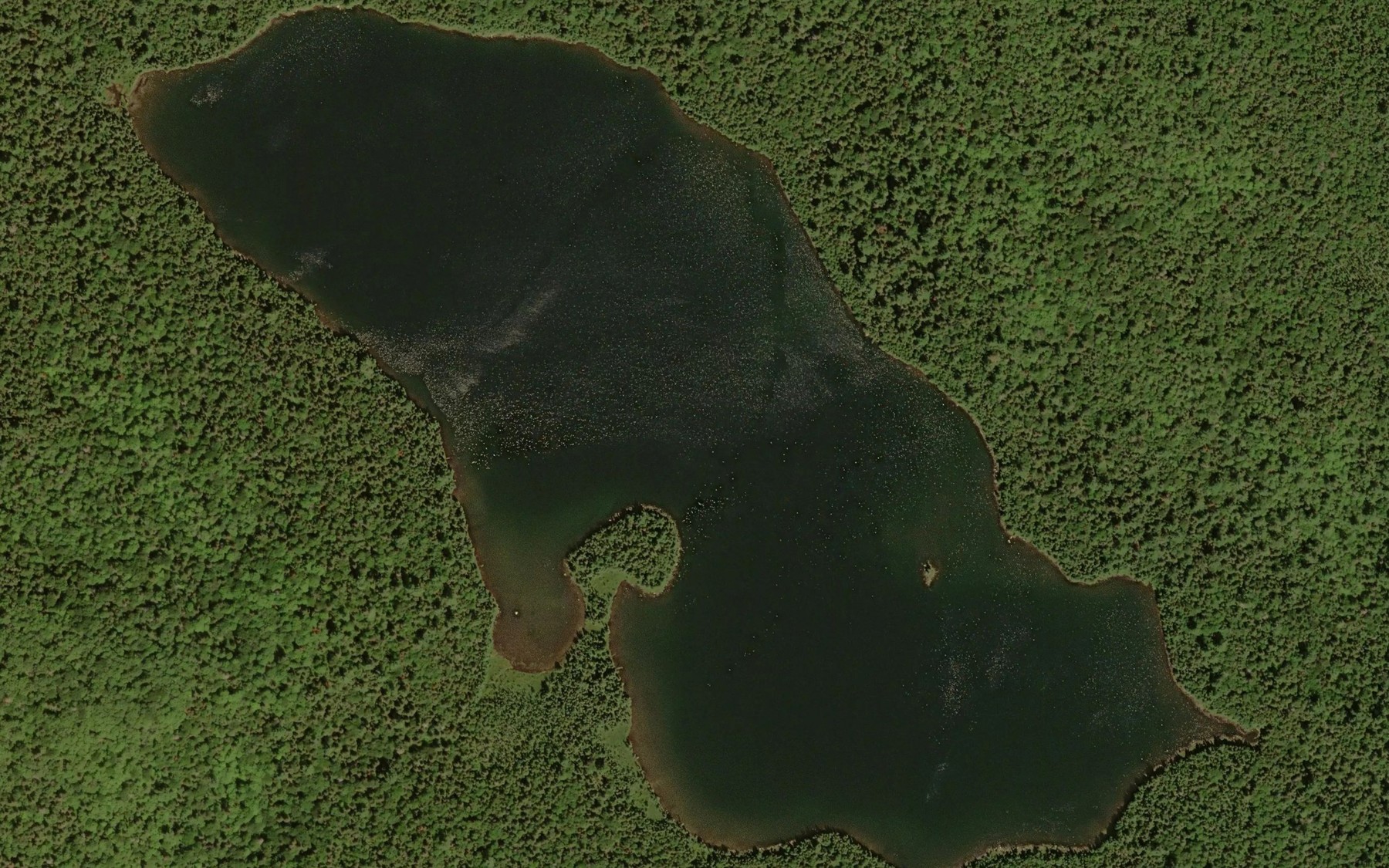Satellite map of the Desert Lake