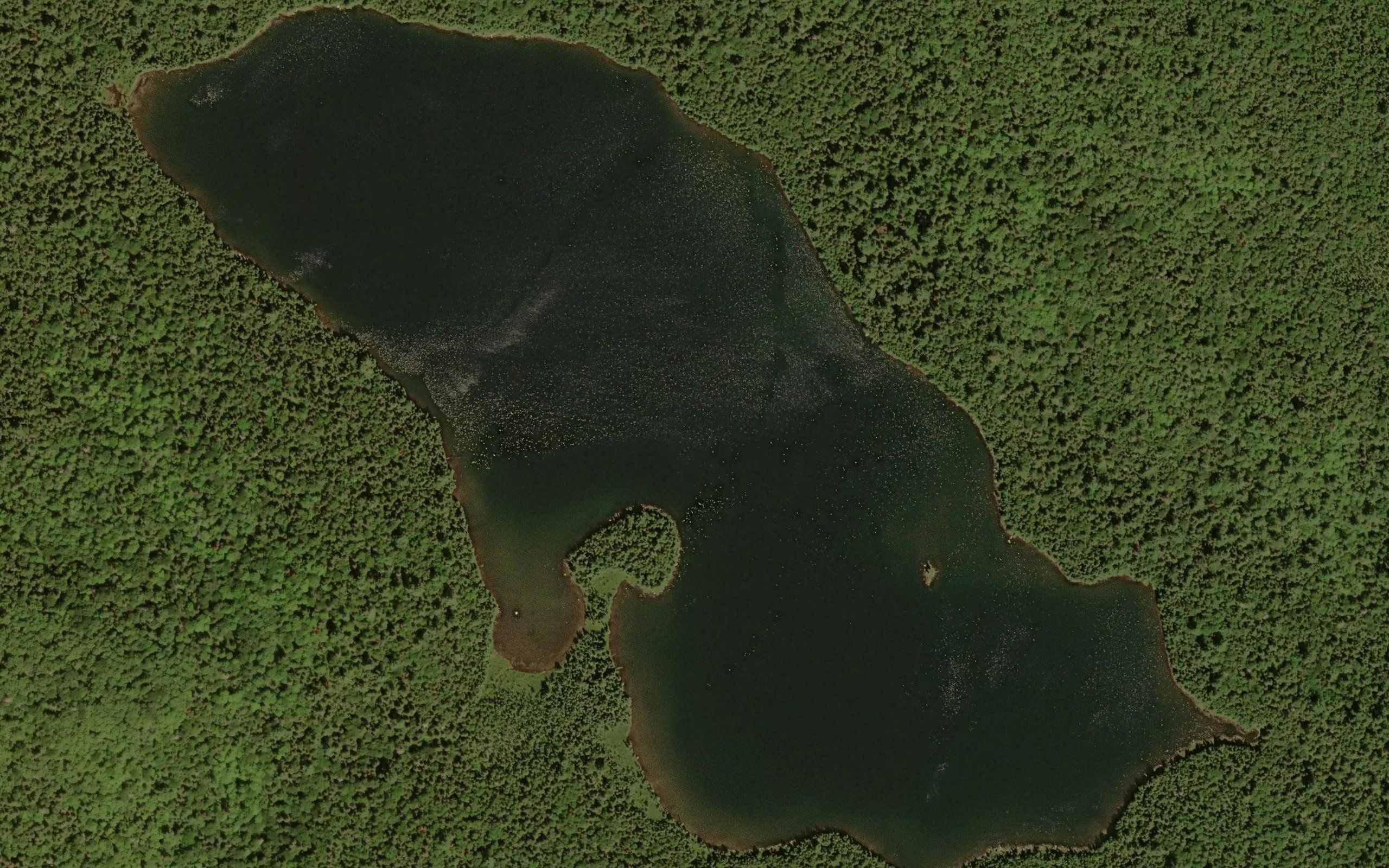 Desert Lake