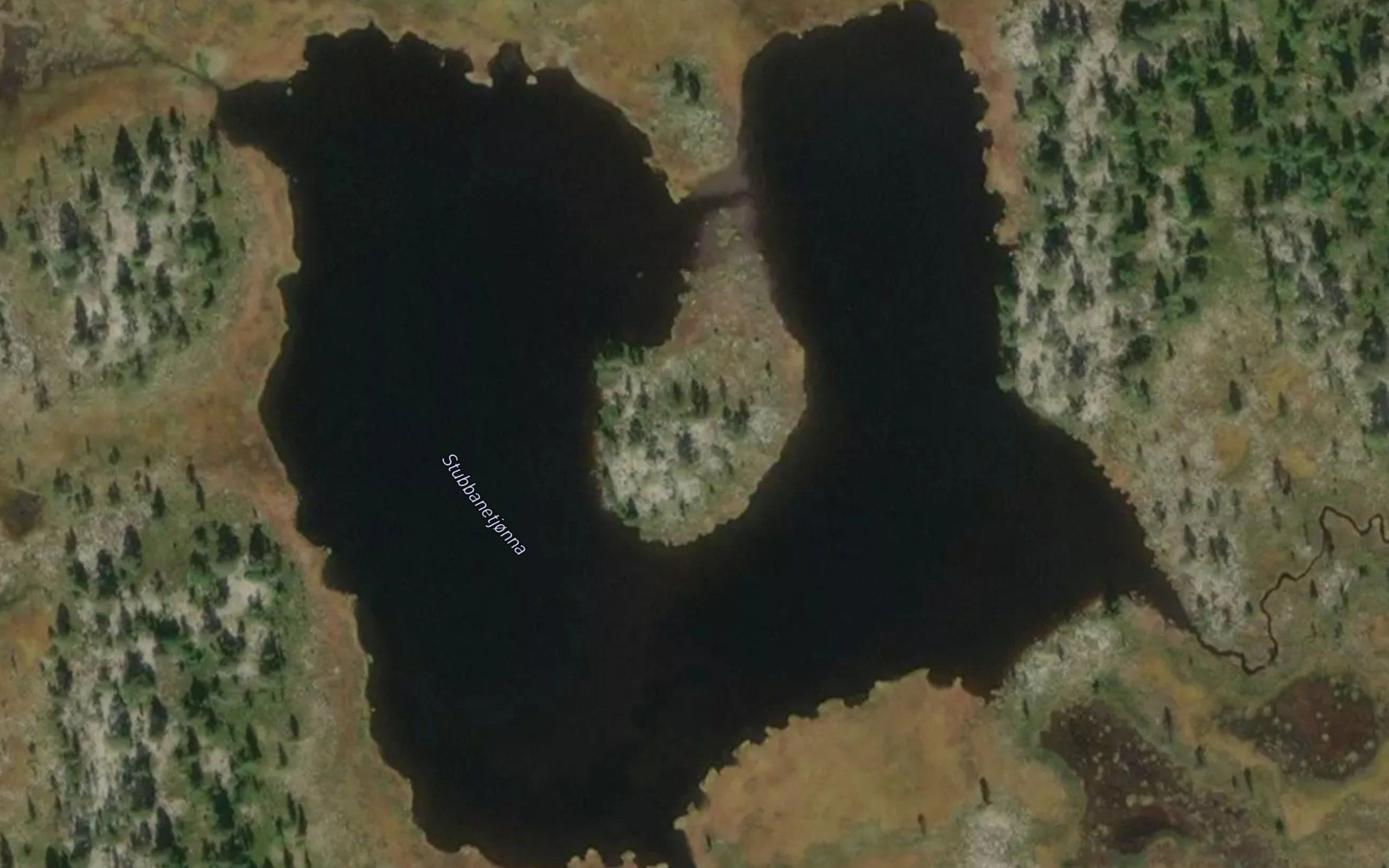 Stubbanetjorna