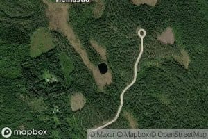 Heinalampi