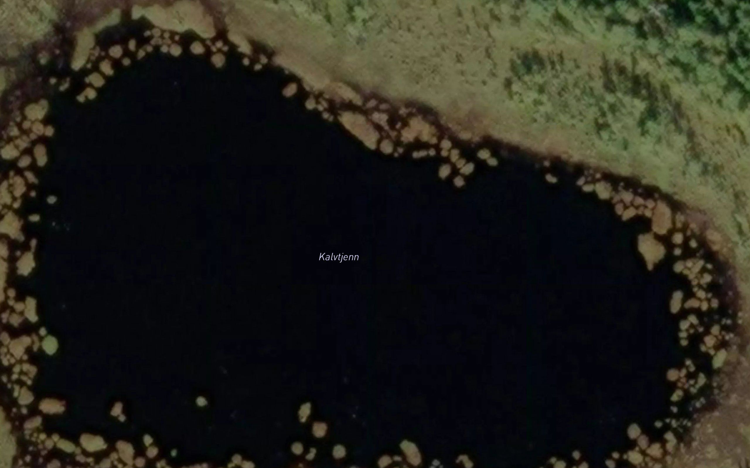 Kalvtjern