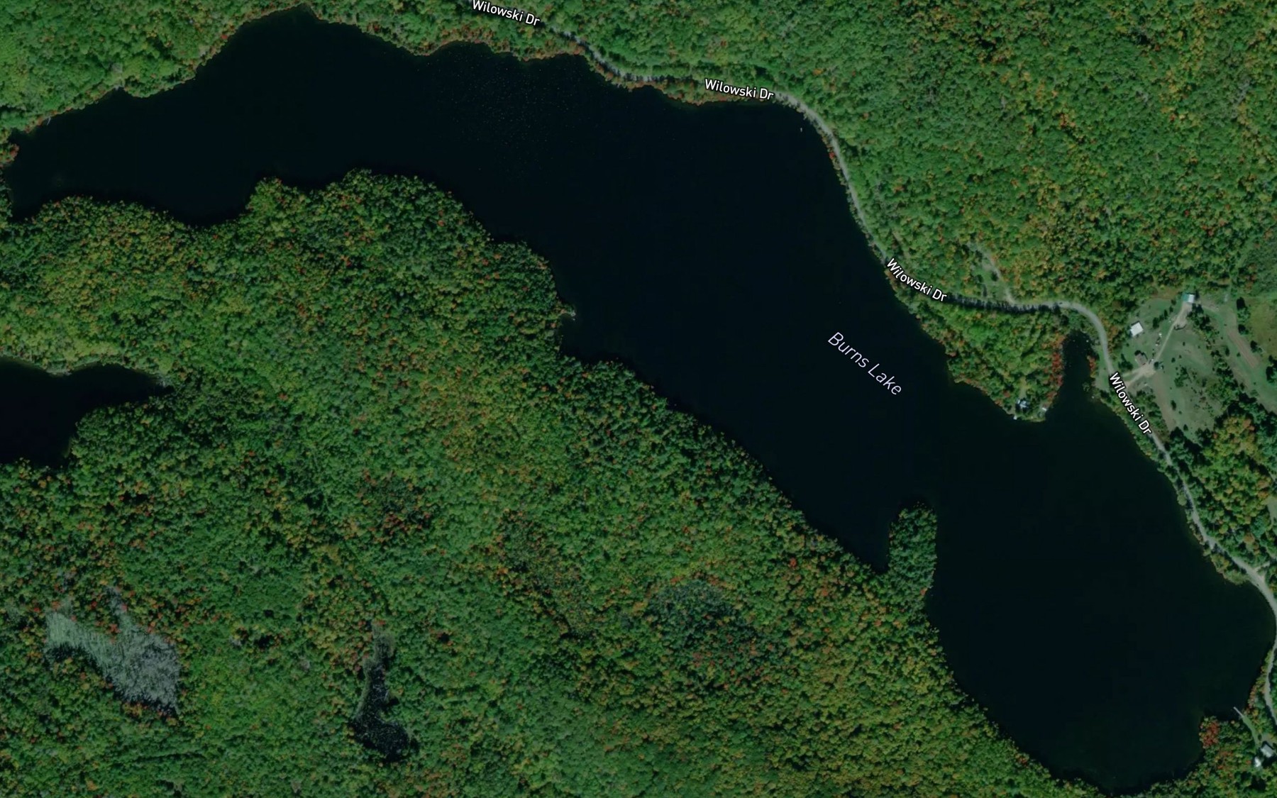 Satellite map of the Burns Lake