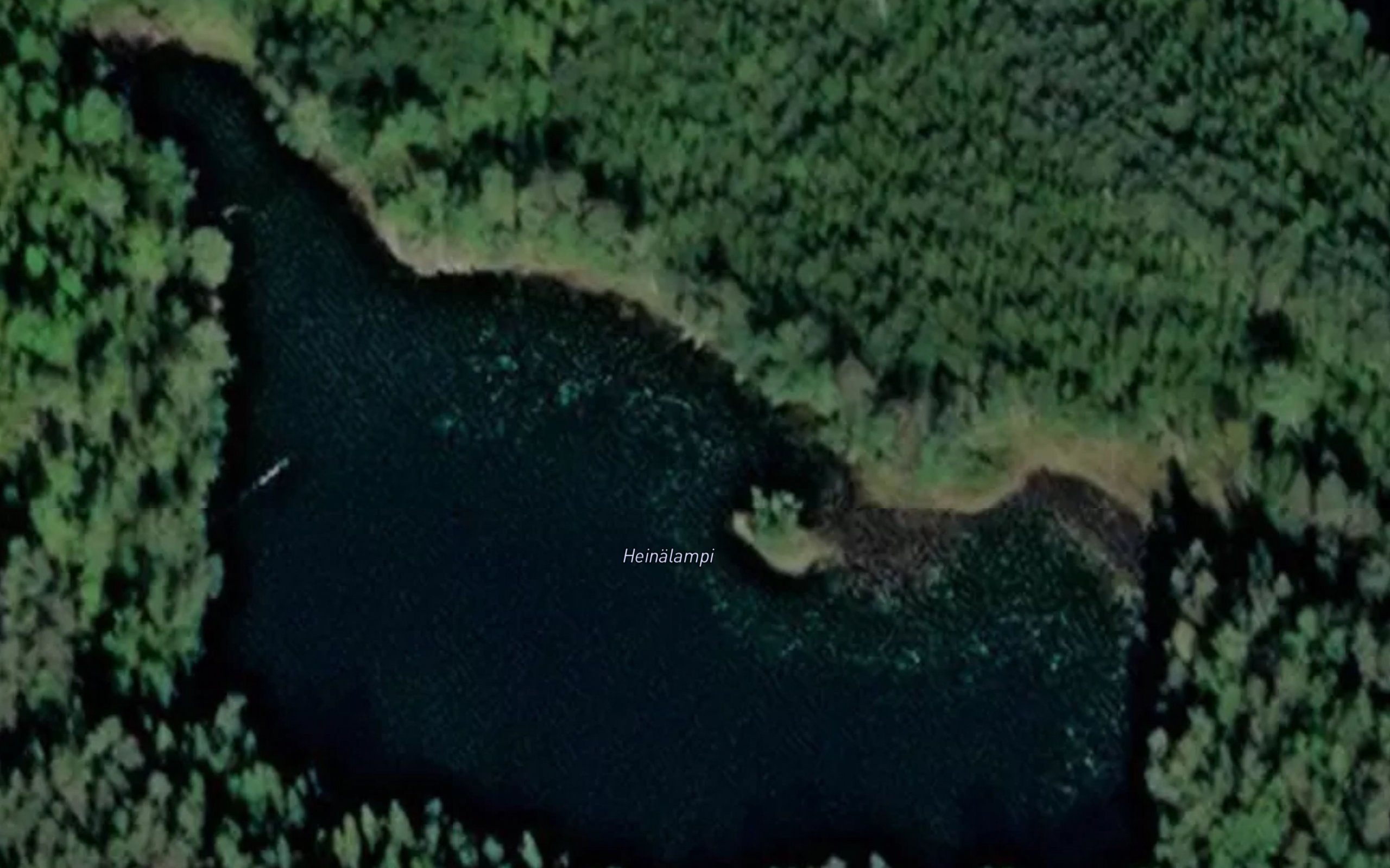 Heinalampi