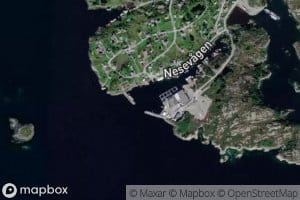 Nesvagen
