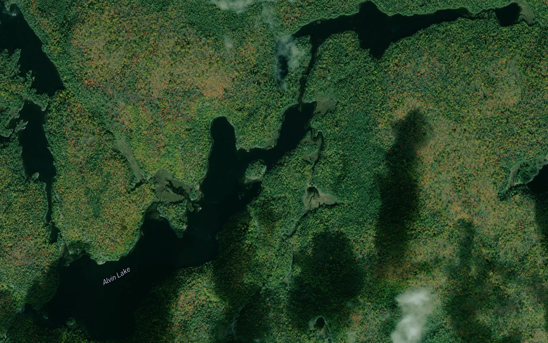 Satellite map of the Alvin Lake