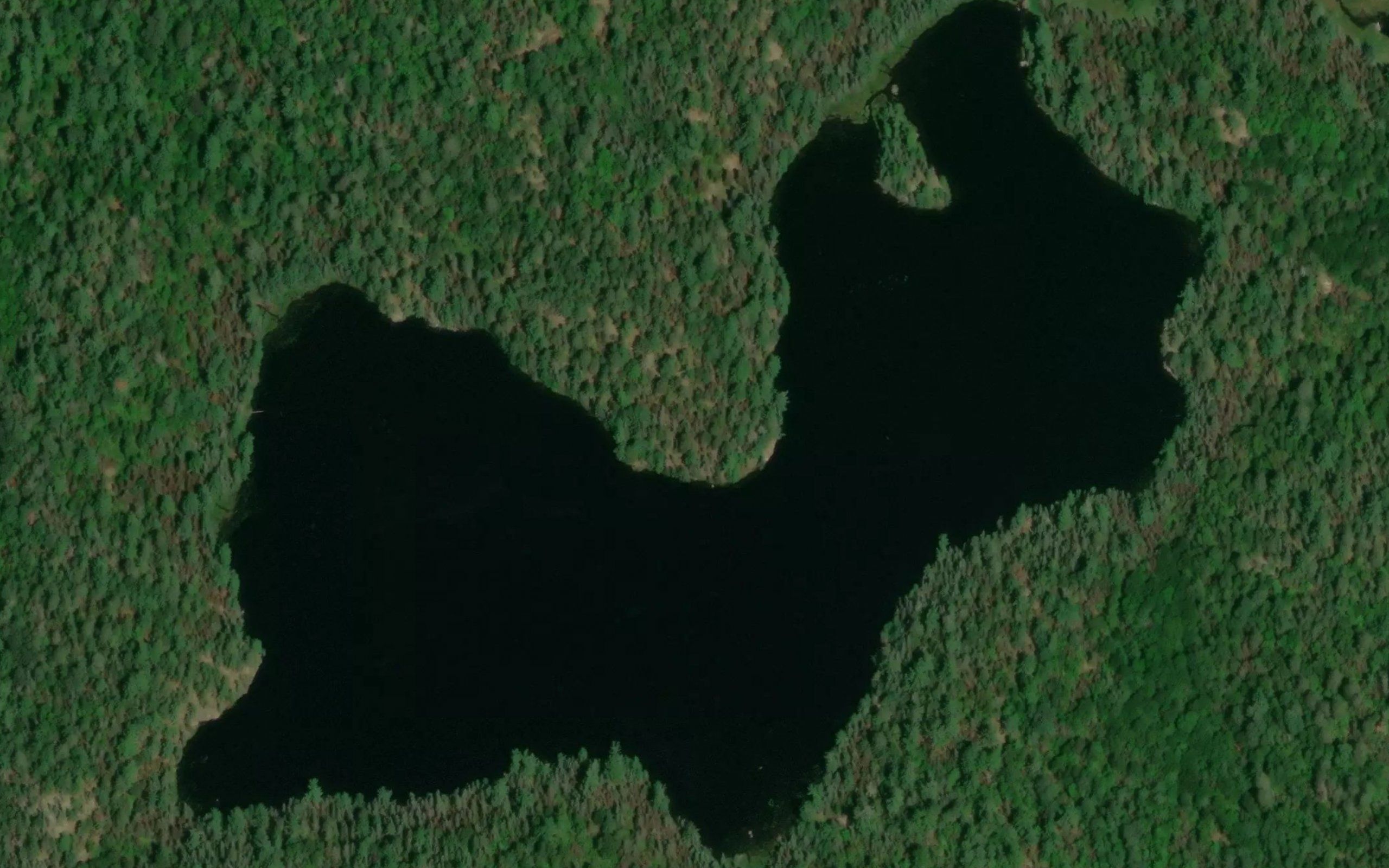 Sauna Lake