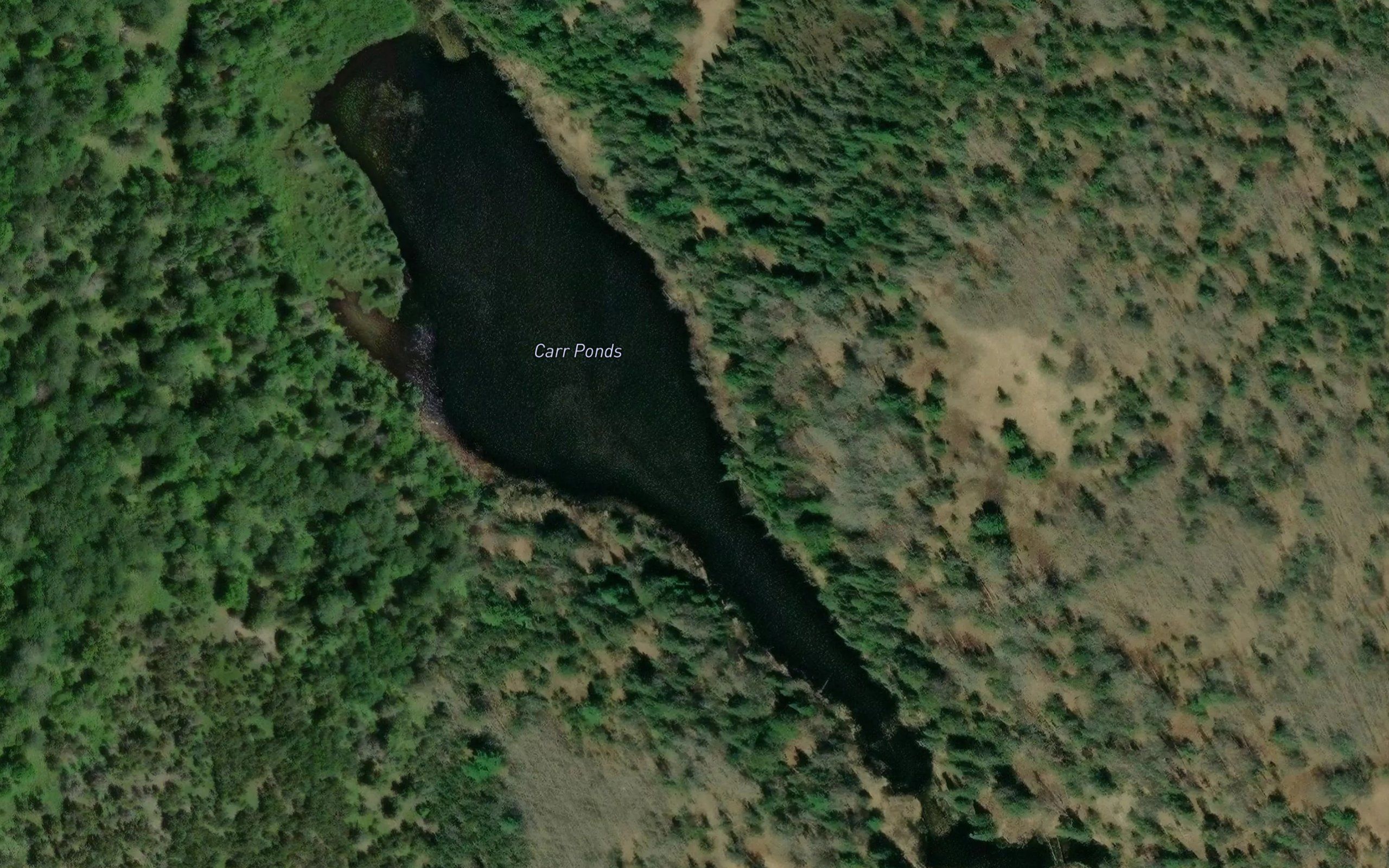 Carr Ponds