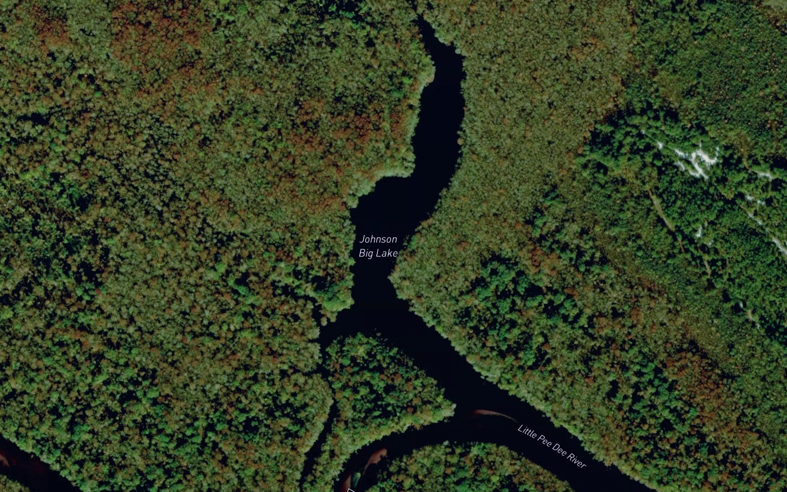 Johnson Big Lake