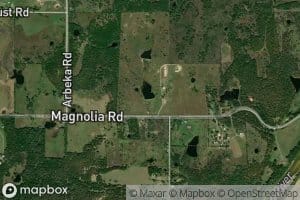 Oknoname 111061 Reservoir