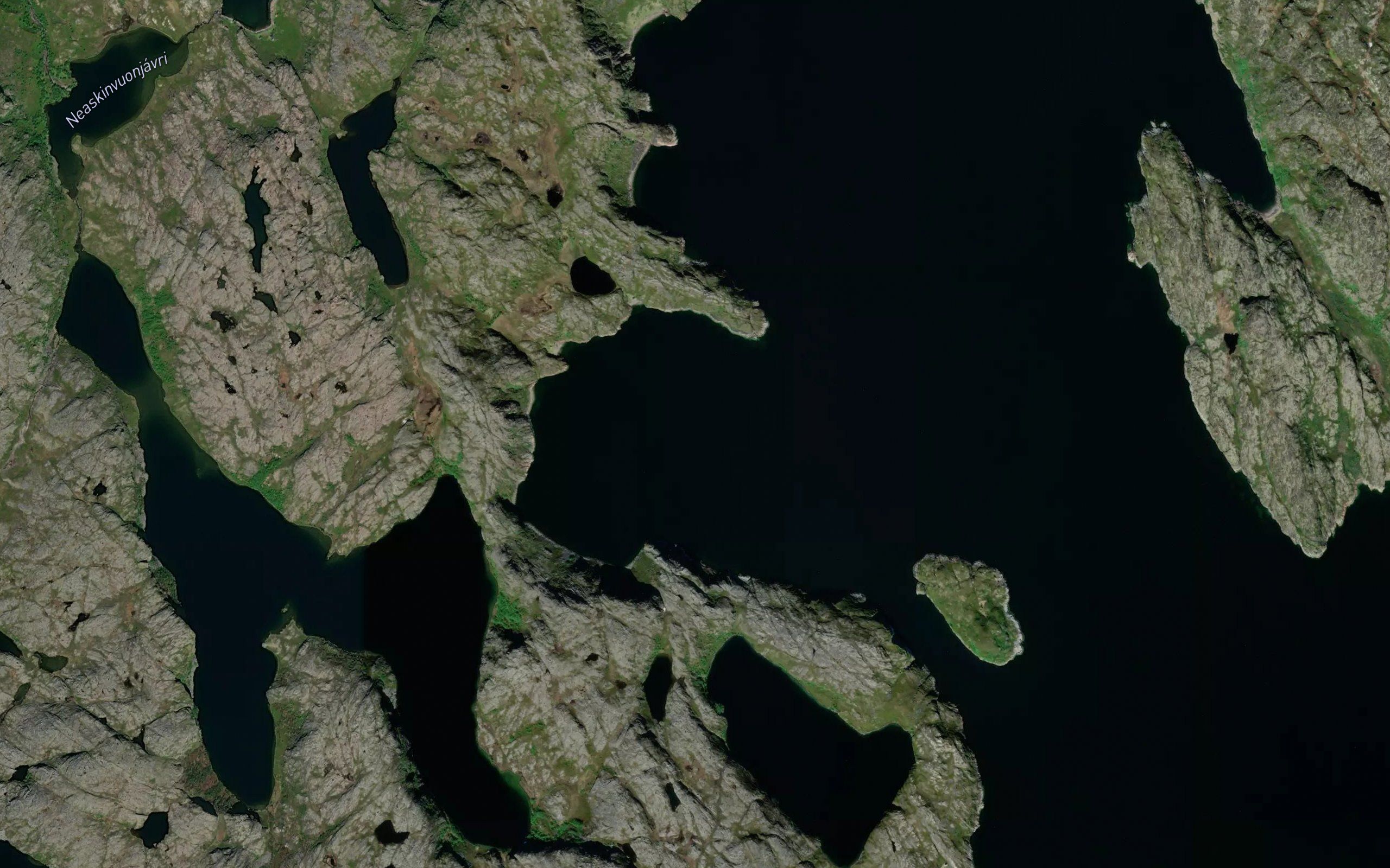 Vuojahangappi