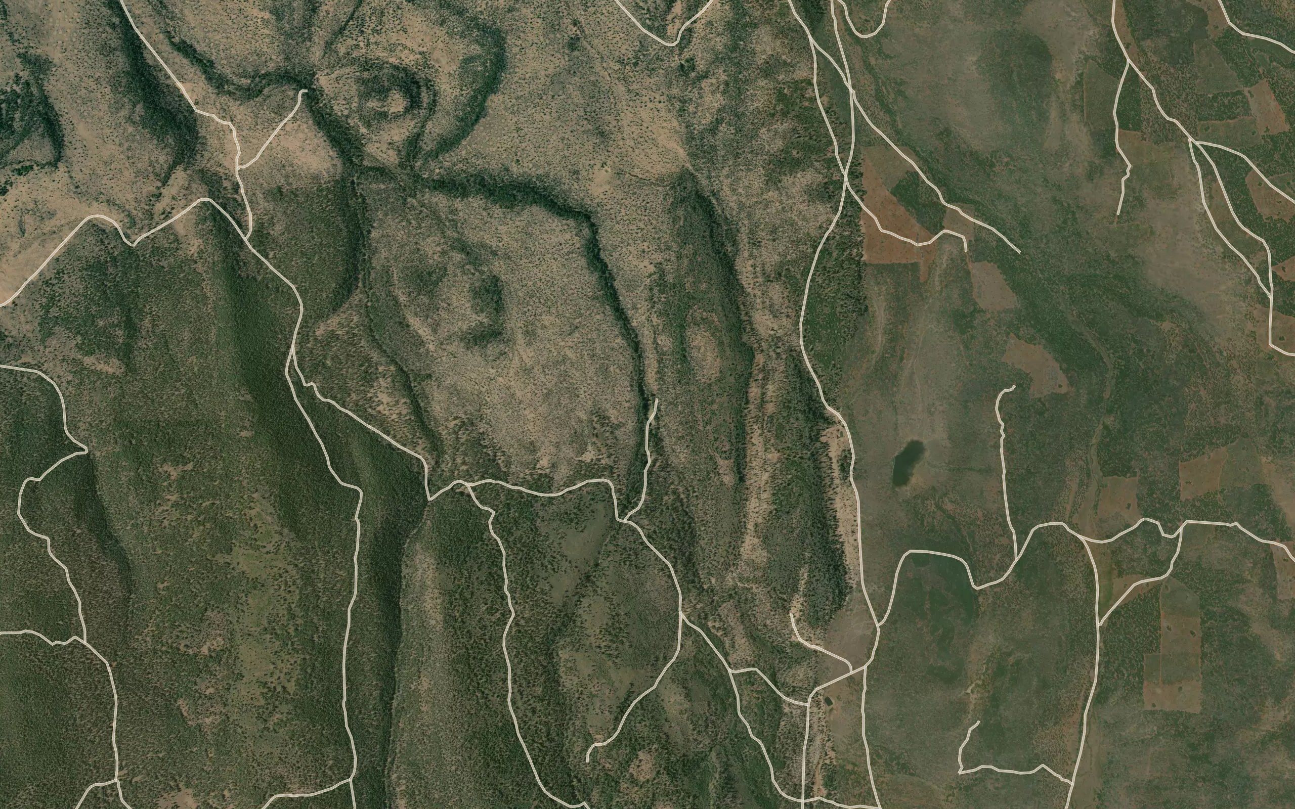 Hog Valley Reservoir