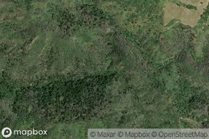 Satellite map of the Woods Creek