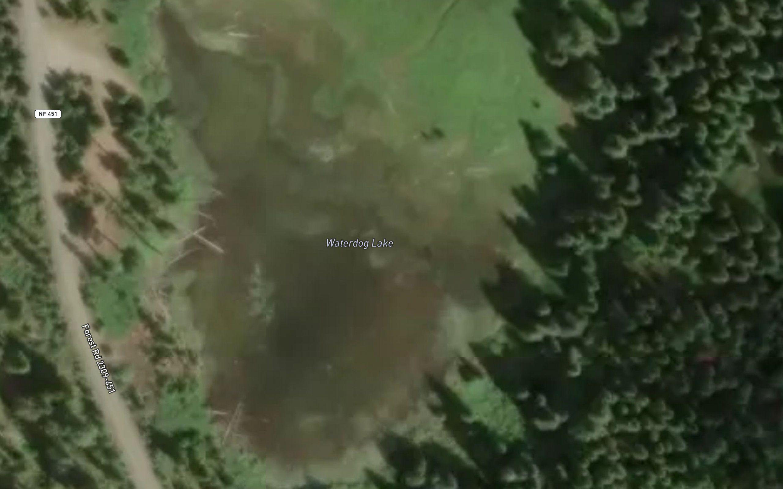 Waterdog Lake