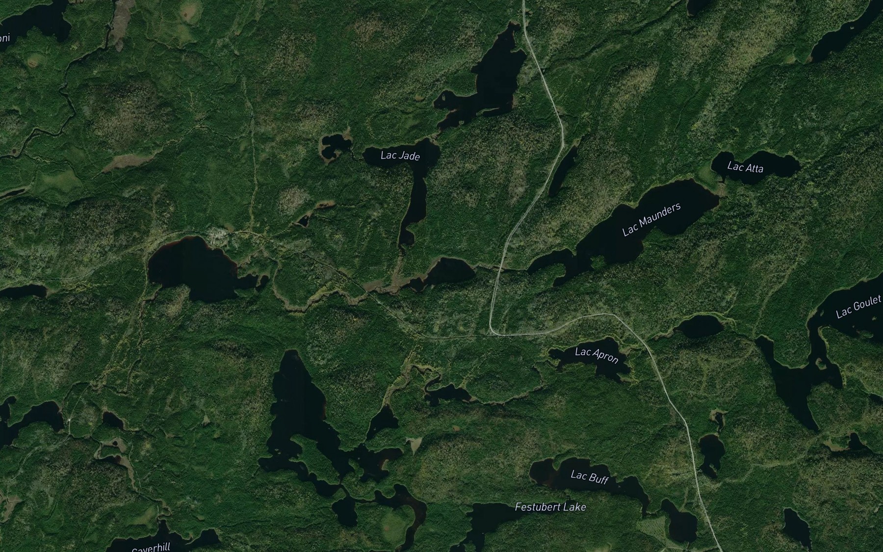 Satellite map of the Lac de la Lotte