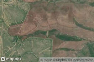 Simmons Spring