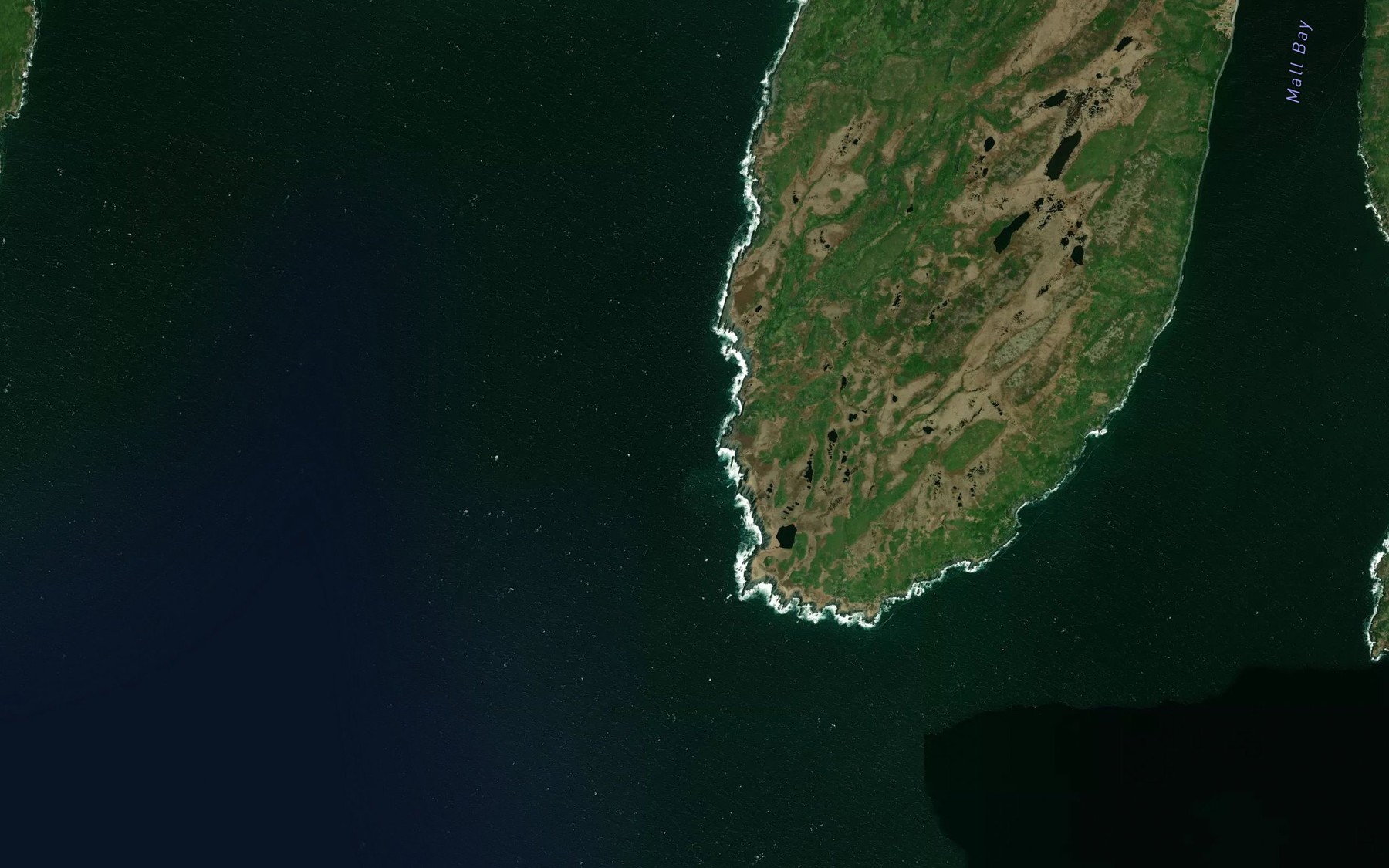 Satellite map of the Bear Cove
