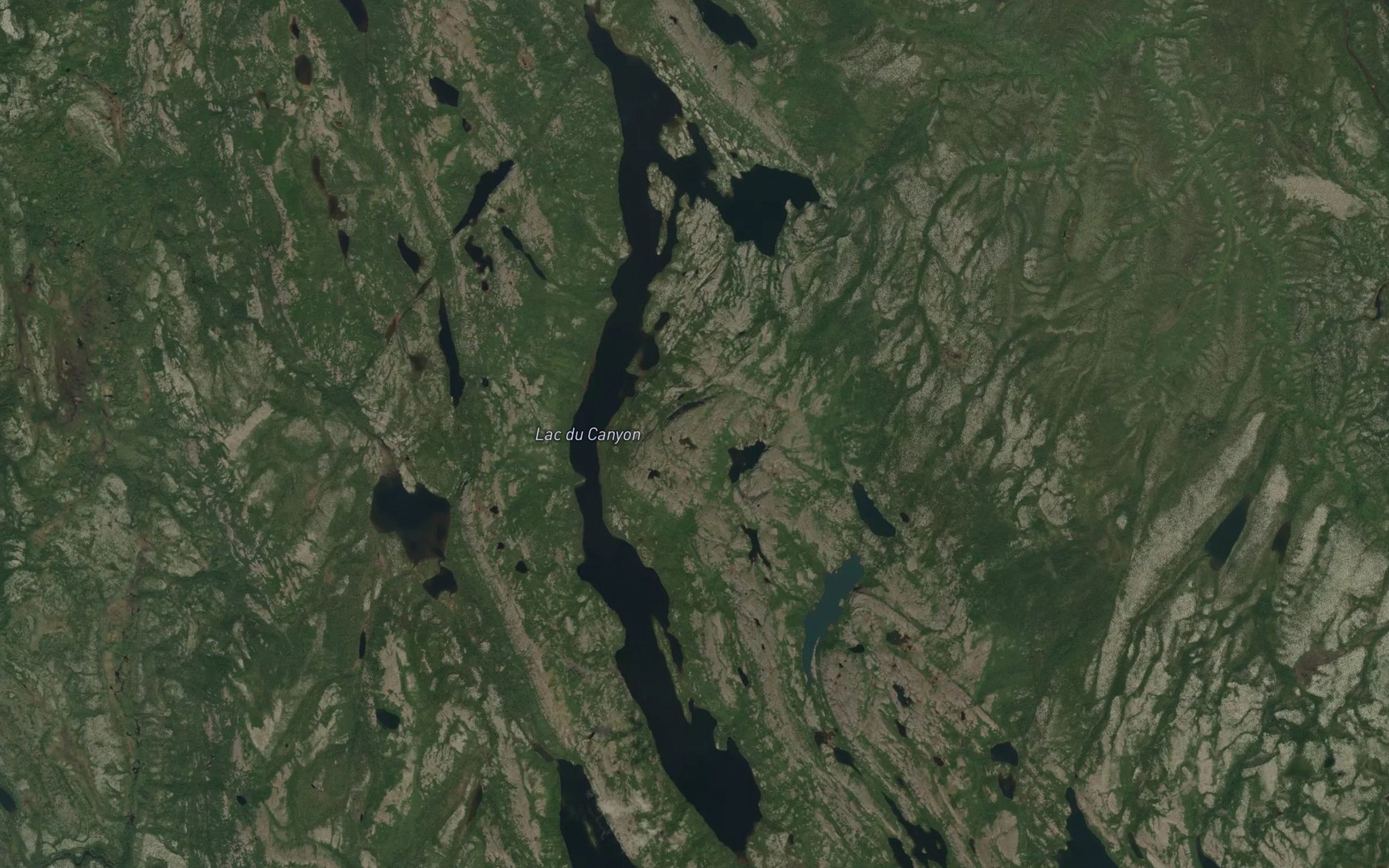 Satellite map of the Lac du Canyon