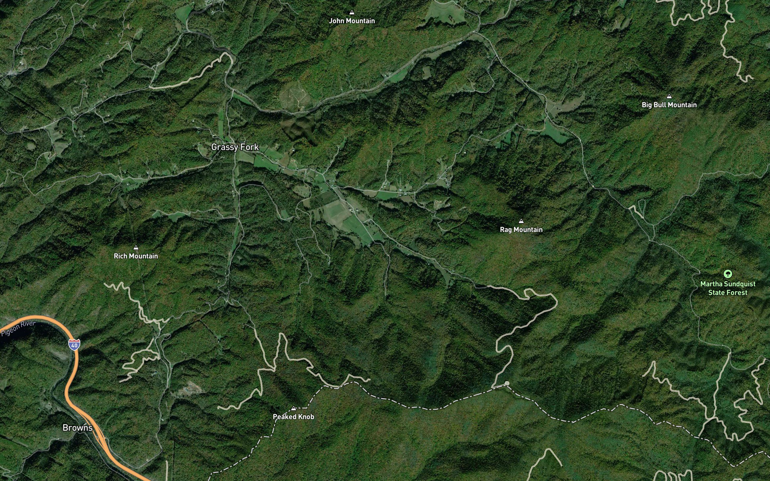 Fern Springs Branch