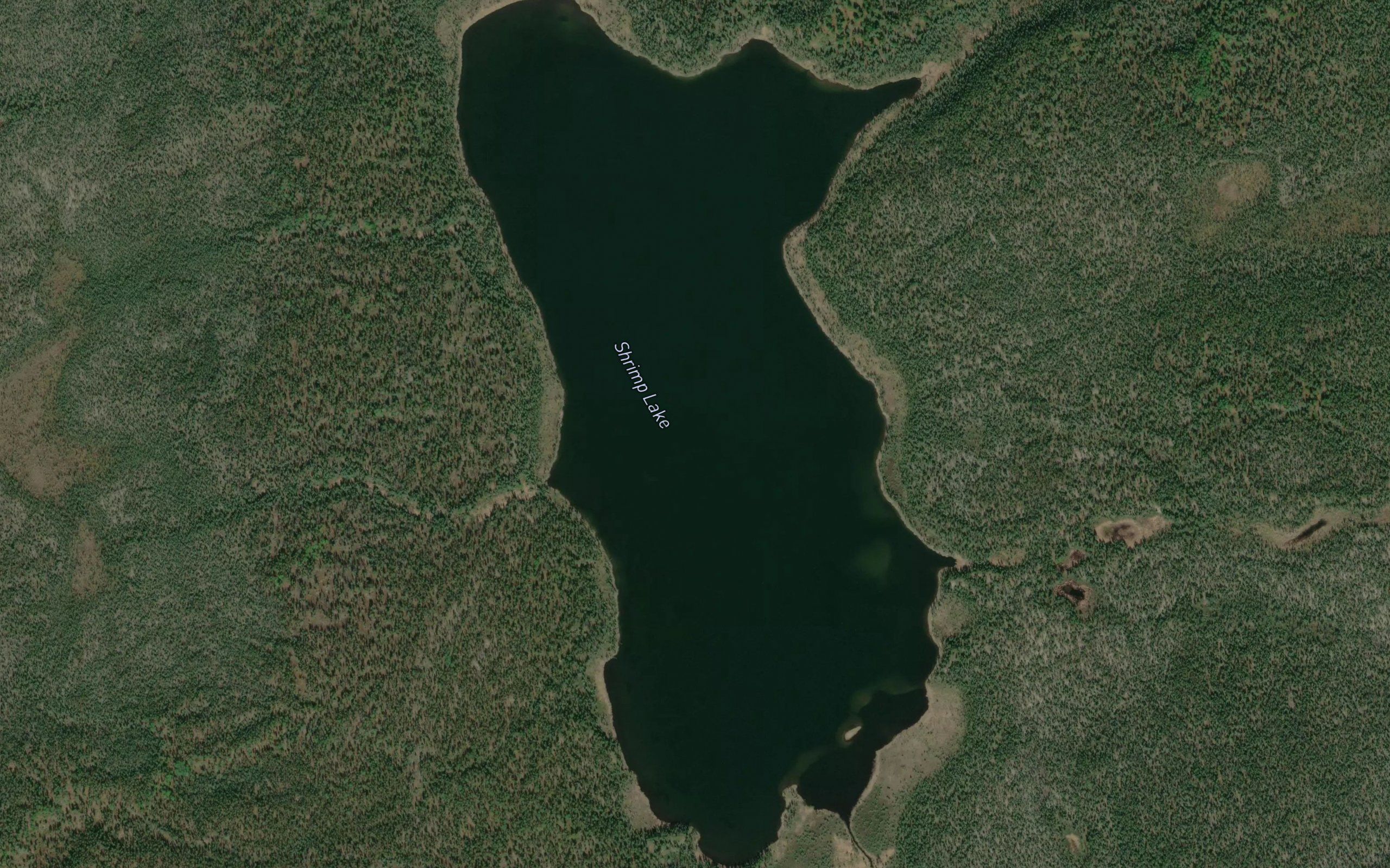 Shrimp Lake