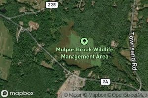 Beaver Pond Brook