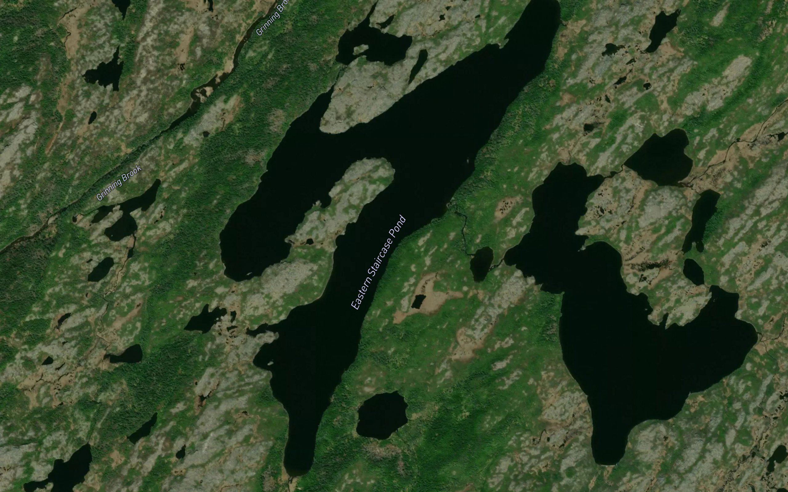 Eastern Staircase Pond