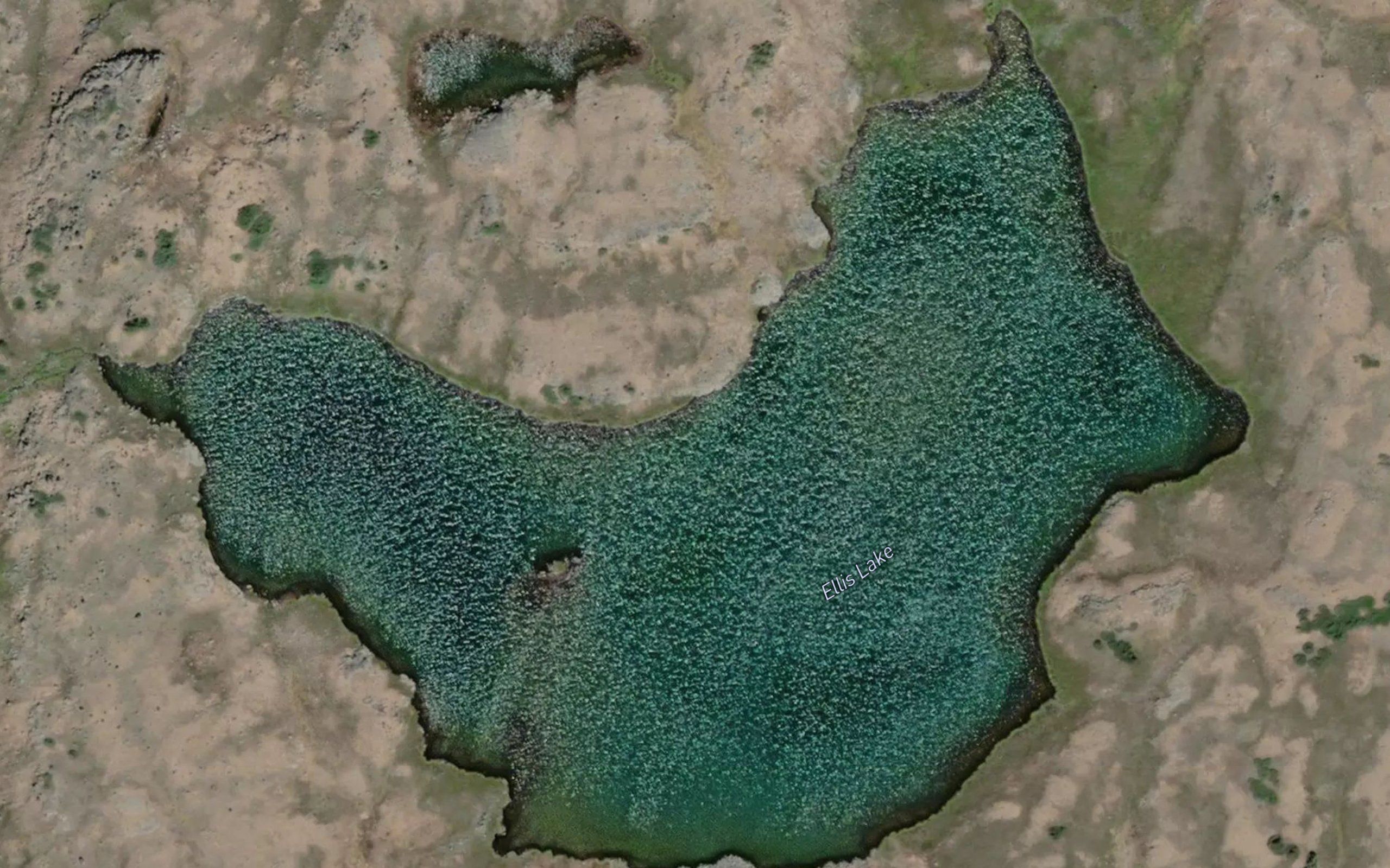 Ellis Lake