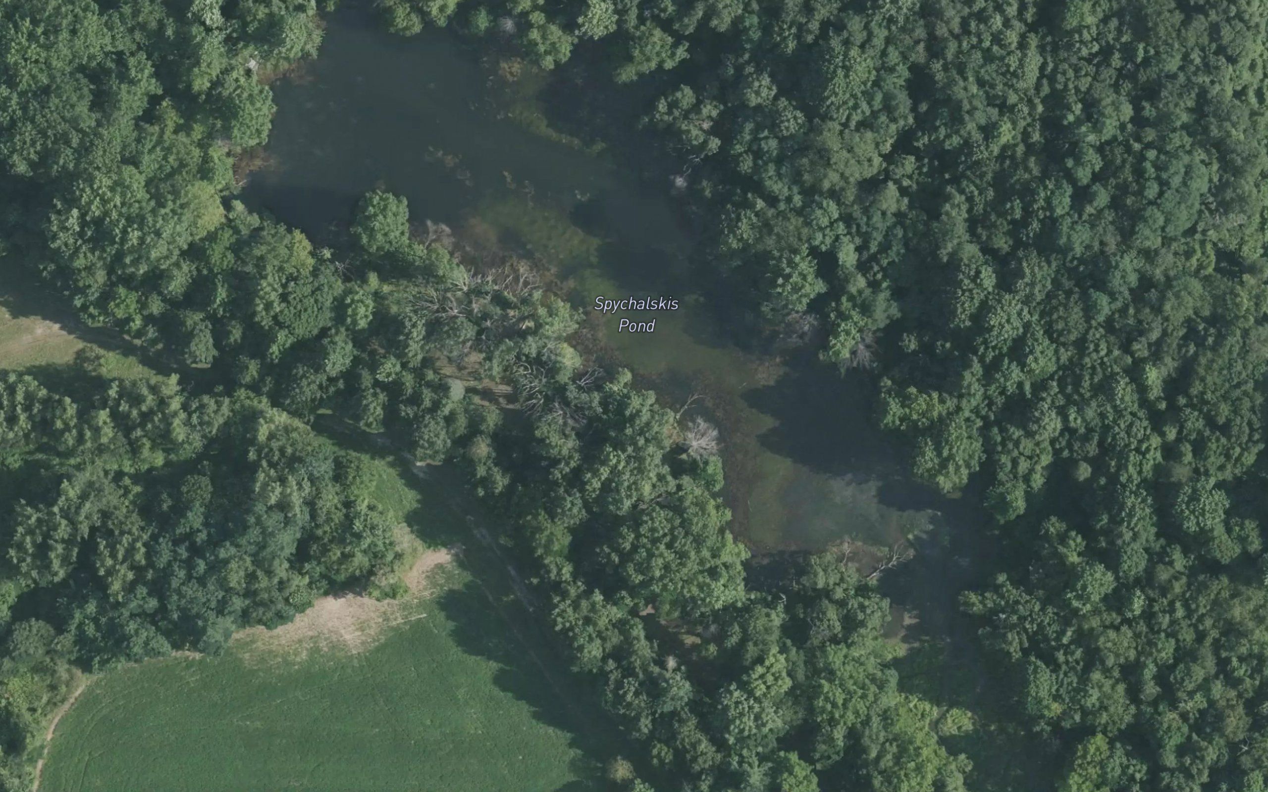 Spychalskis Pond