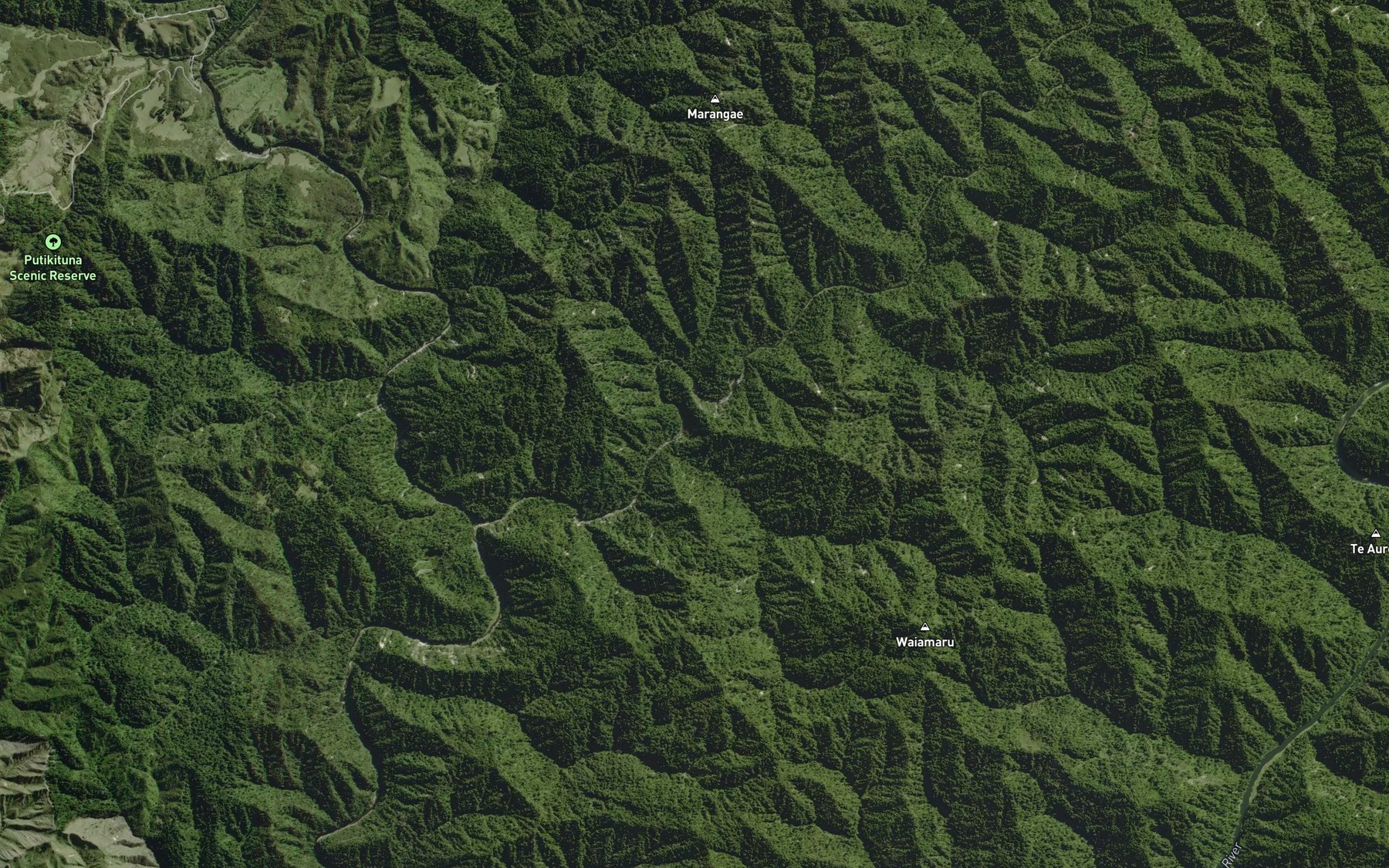 Satellite map of the Waiamaru Stream