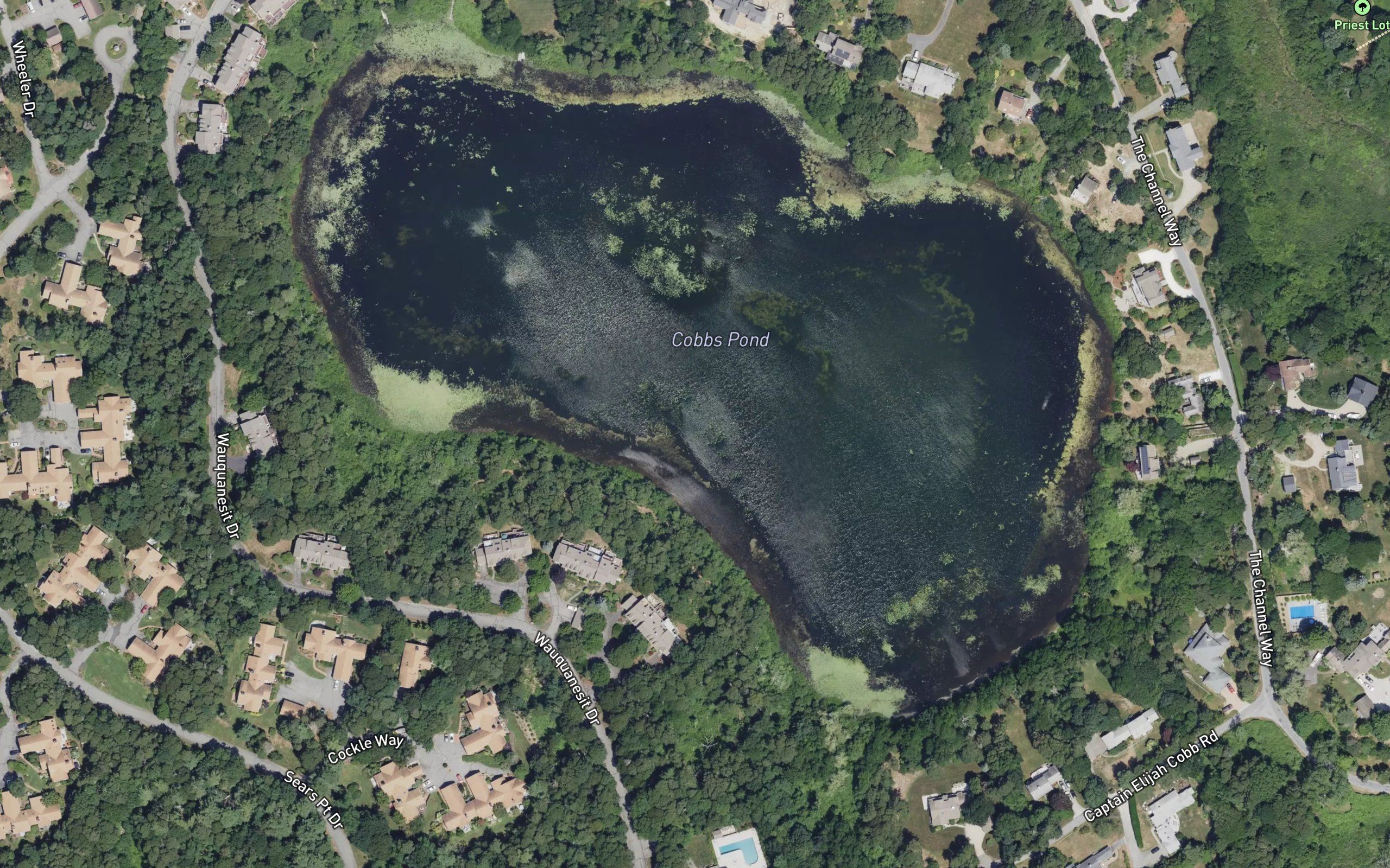 Cobbs Pond