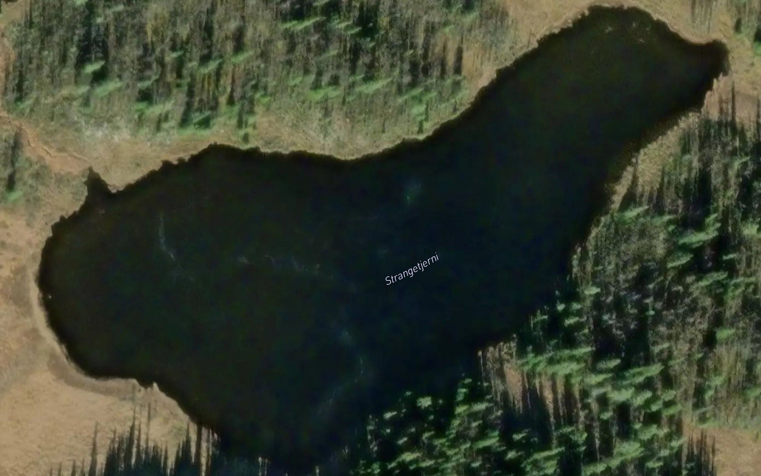 Strangetjednet