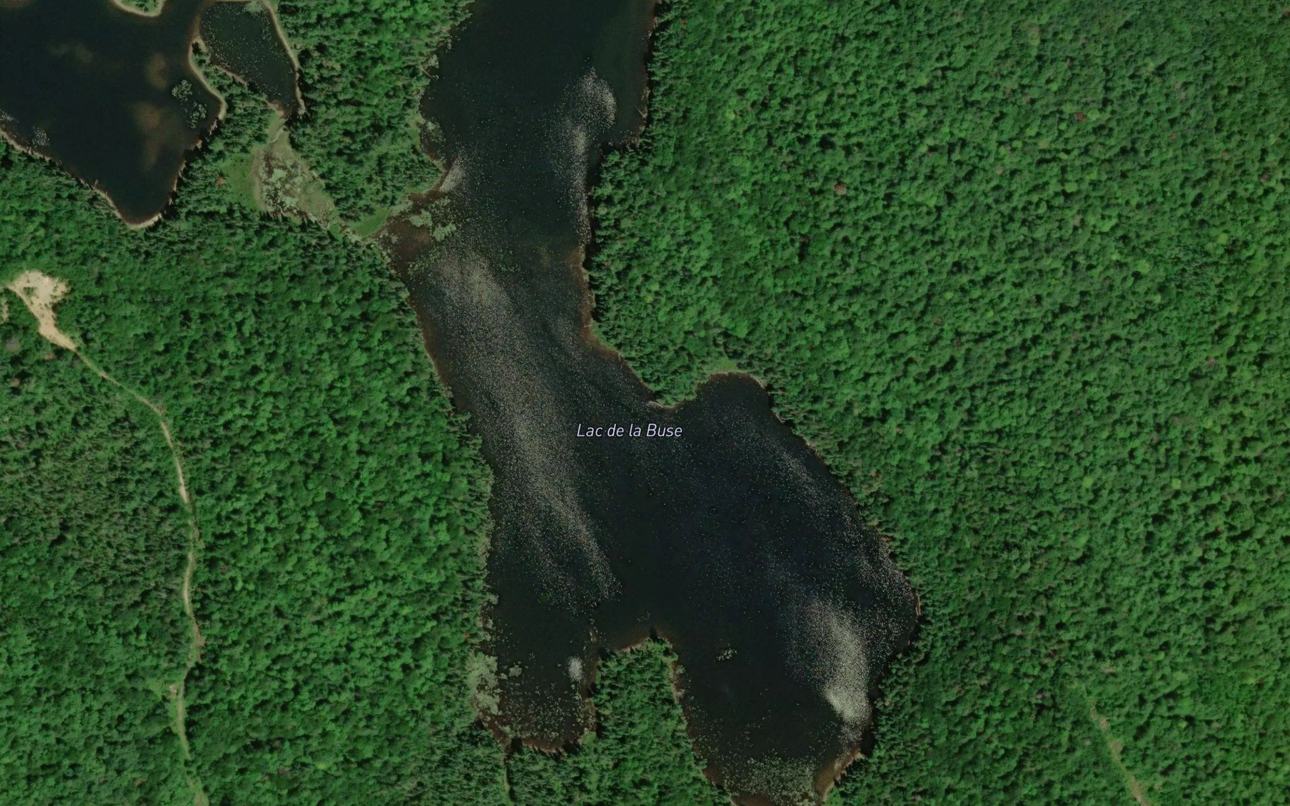 Lac de la Buse