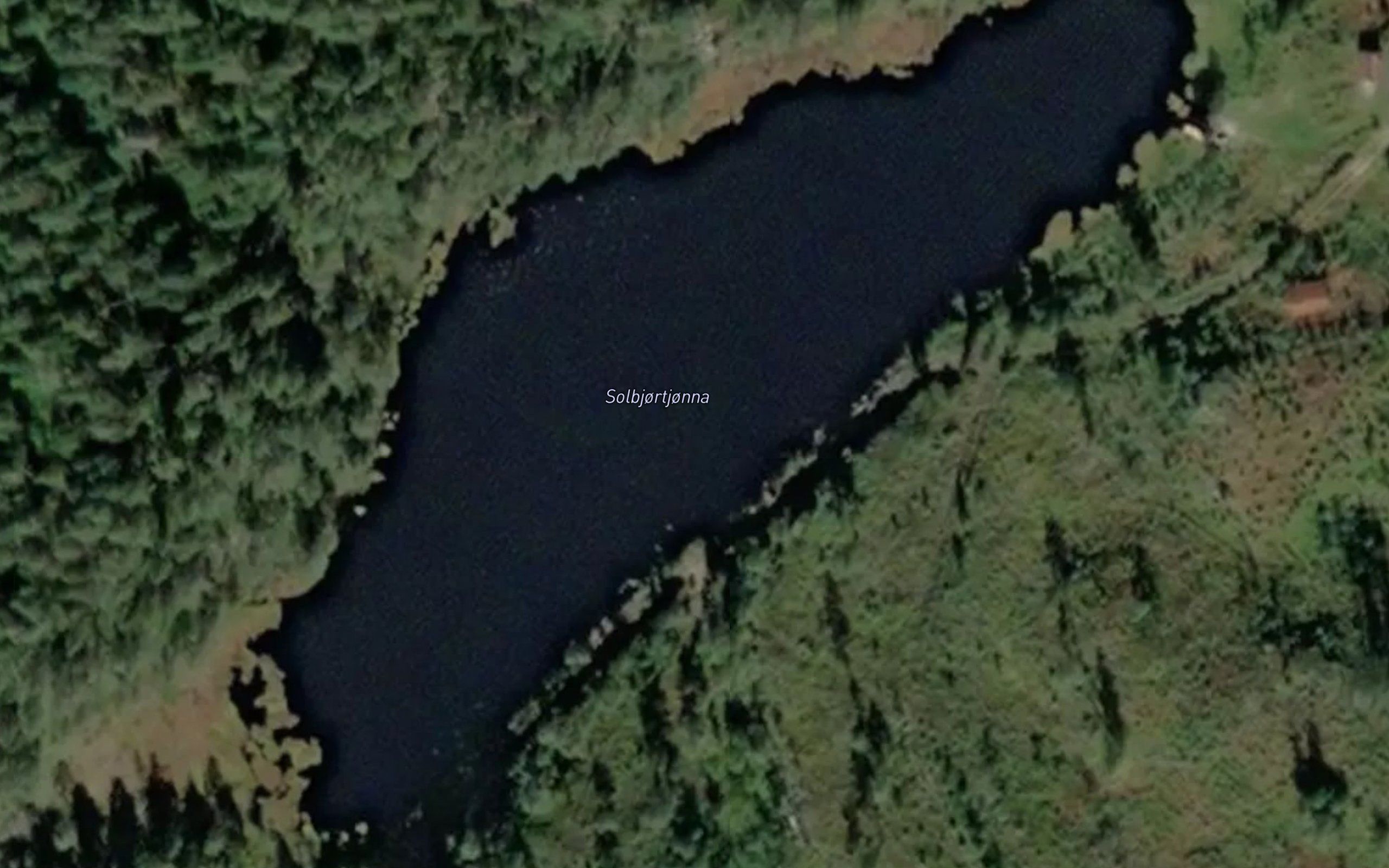 Solbjortjonna