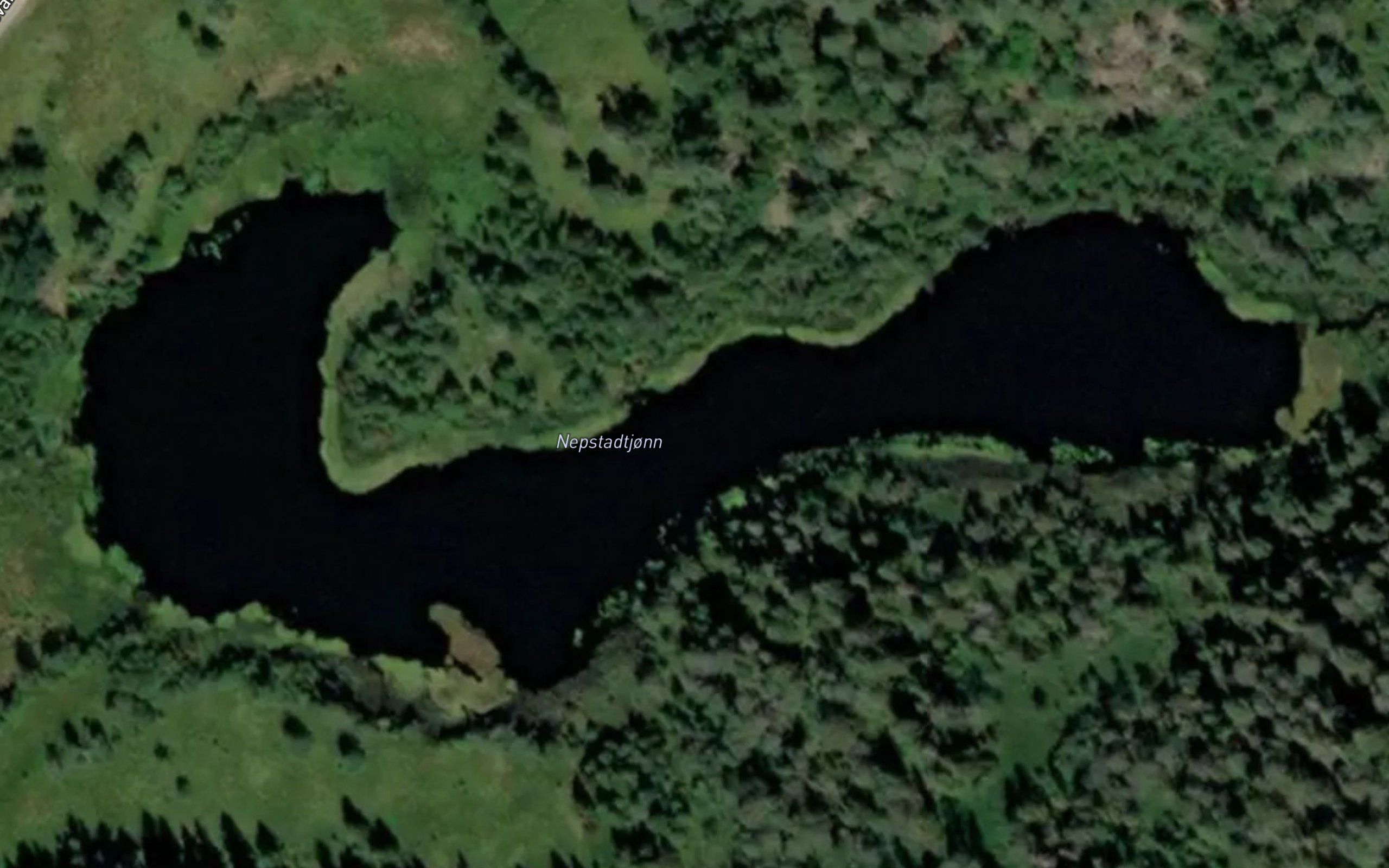 Nepstadtjonn