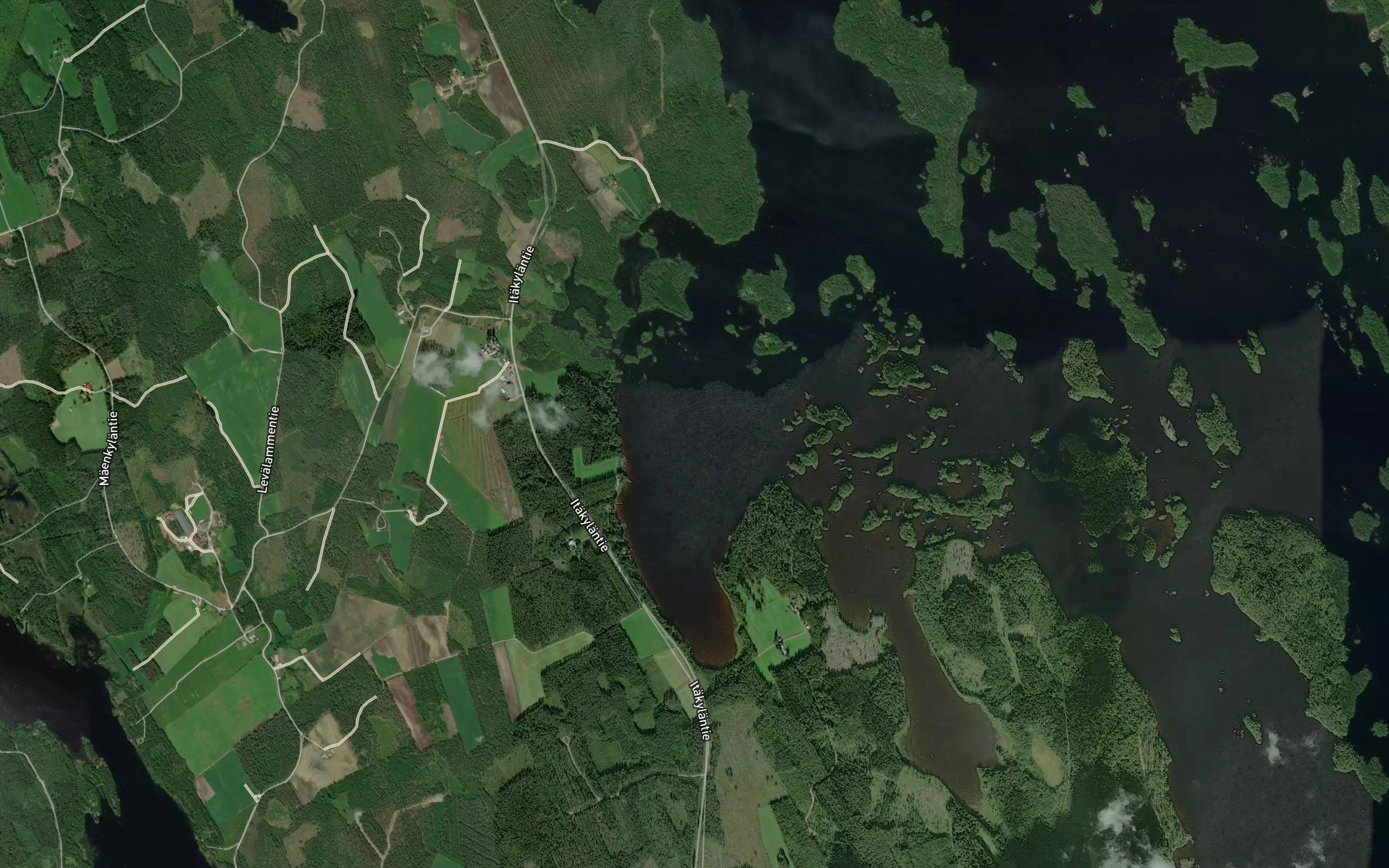 Sirpunselka