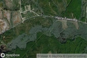 Gillespies Pond (historical)