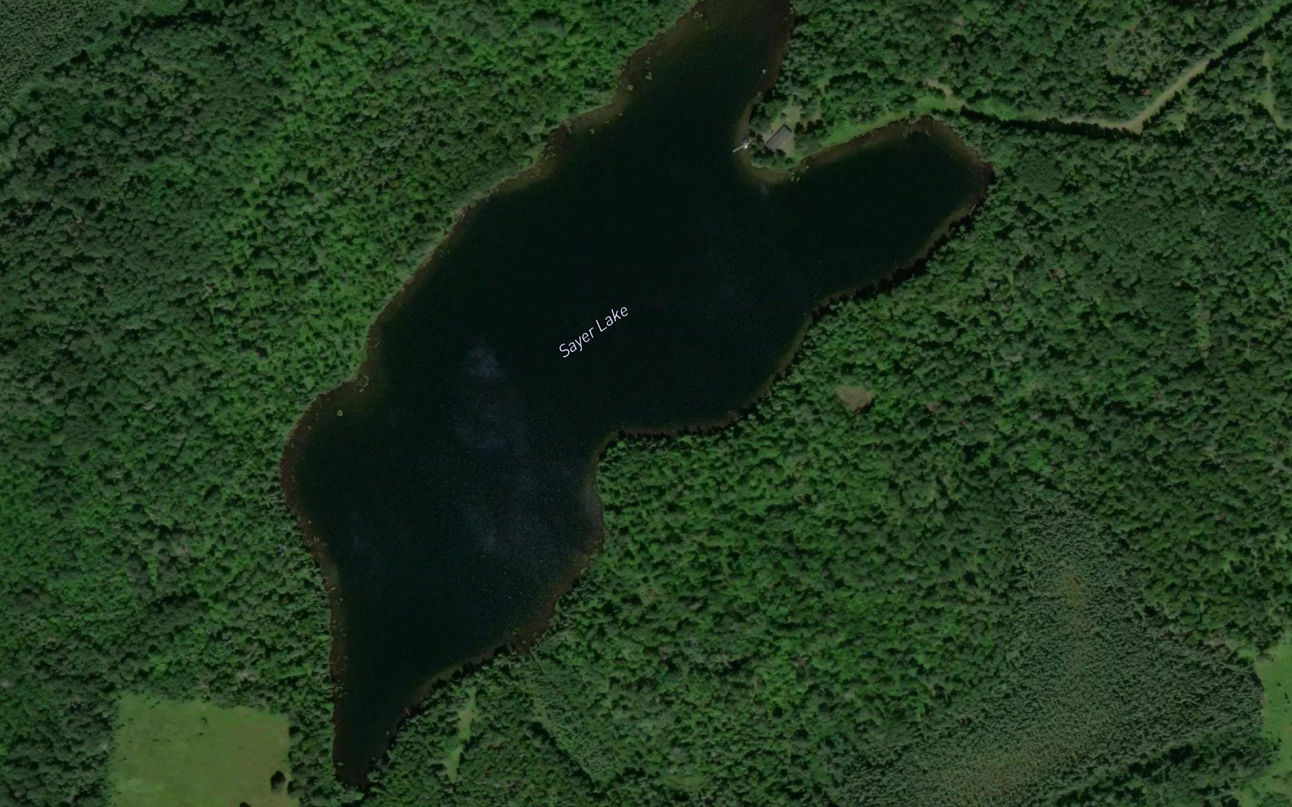 Sayer Lake