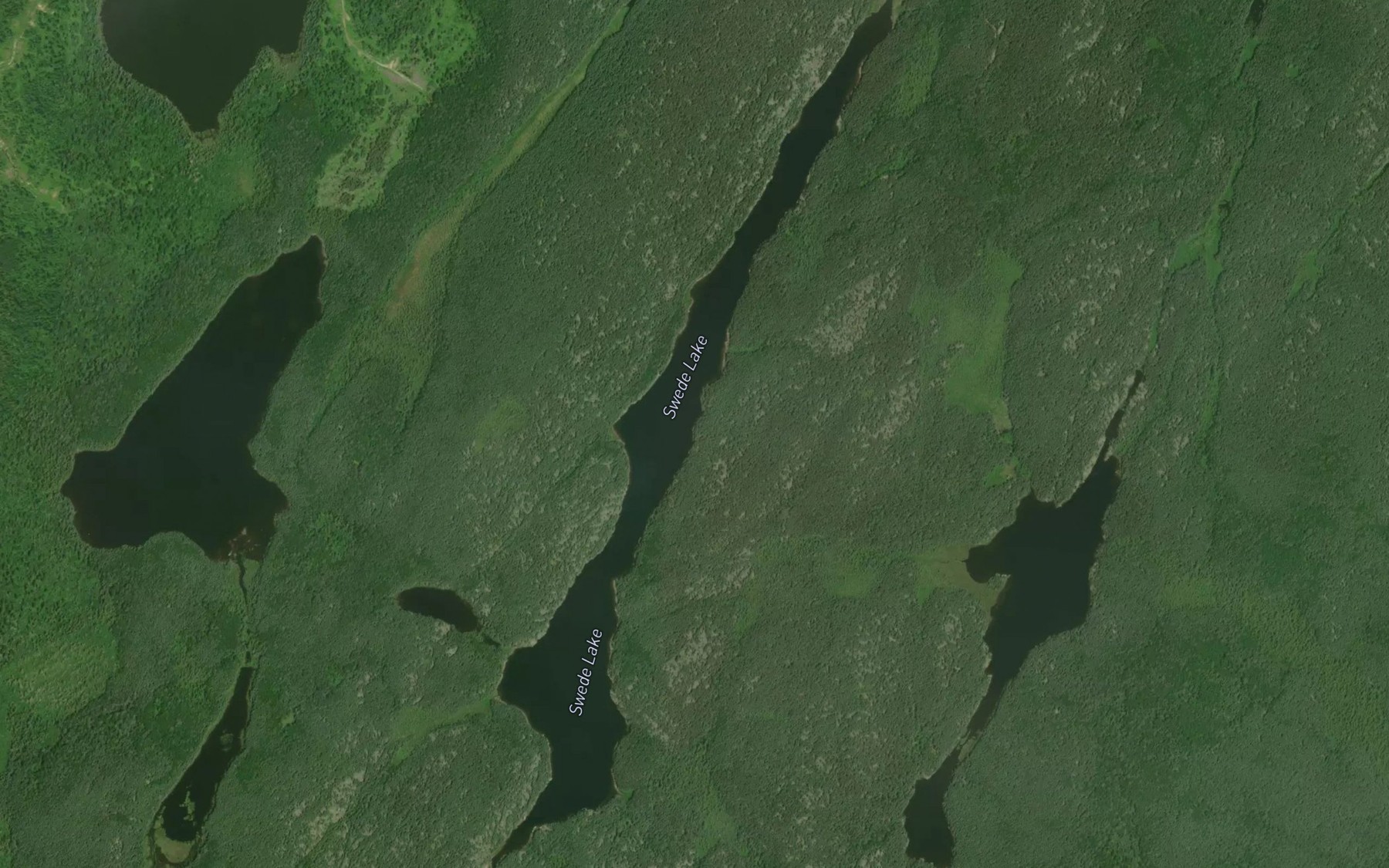Satellite map of the Swede Lake