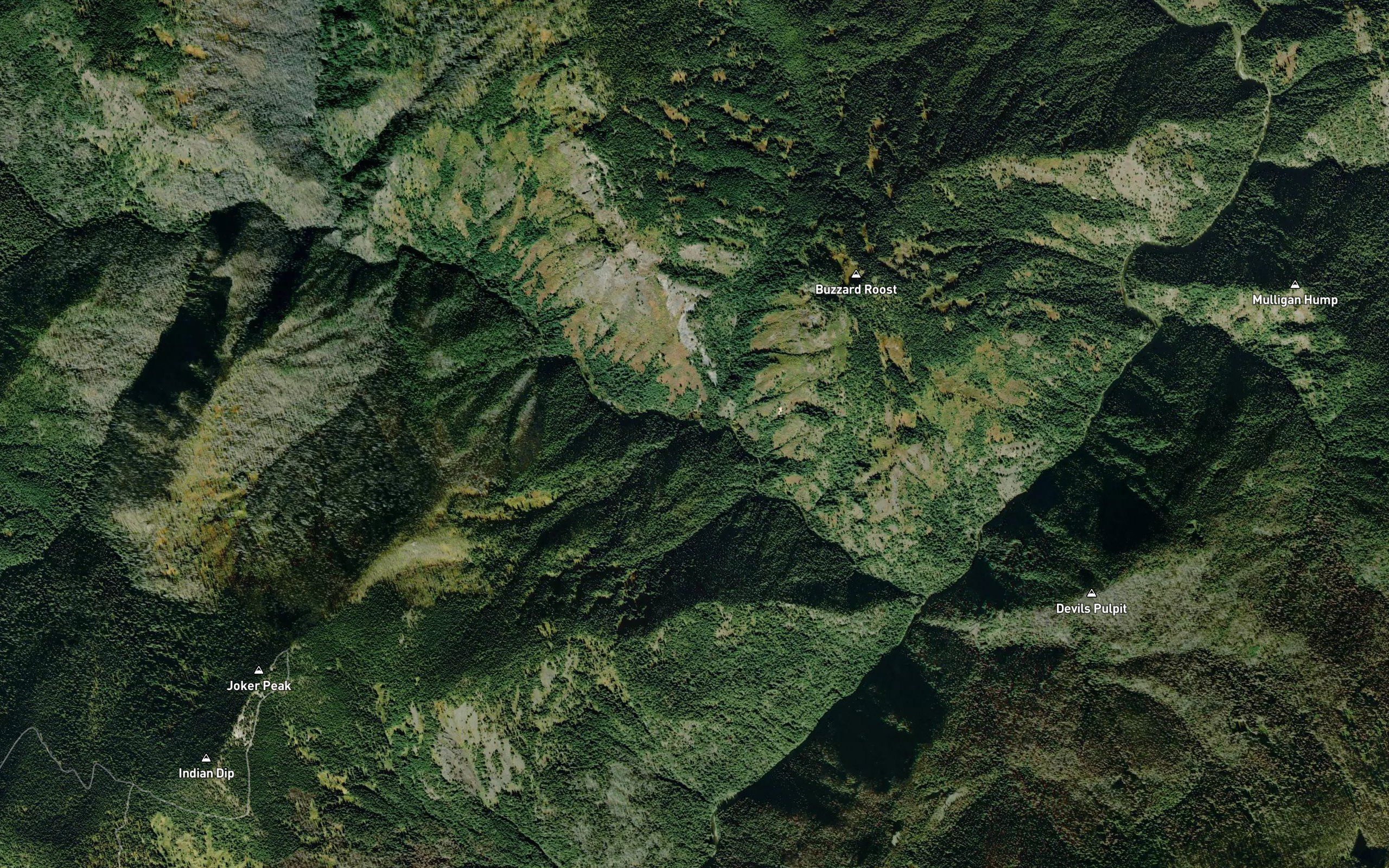 Buzzard Creek