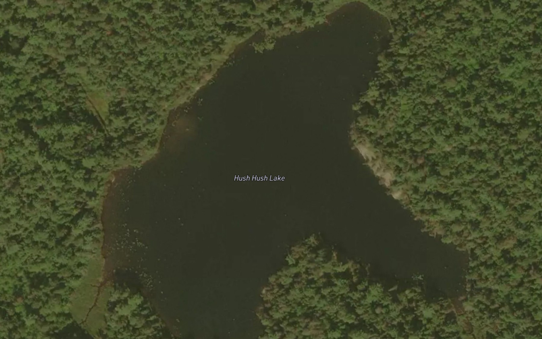 Satellite map of the Hush Hush Lake