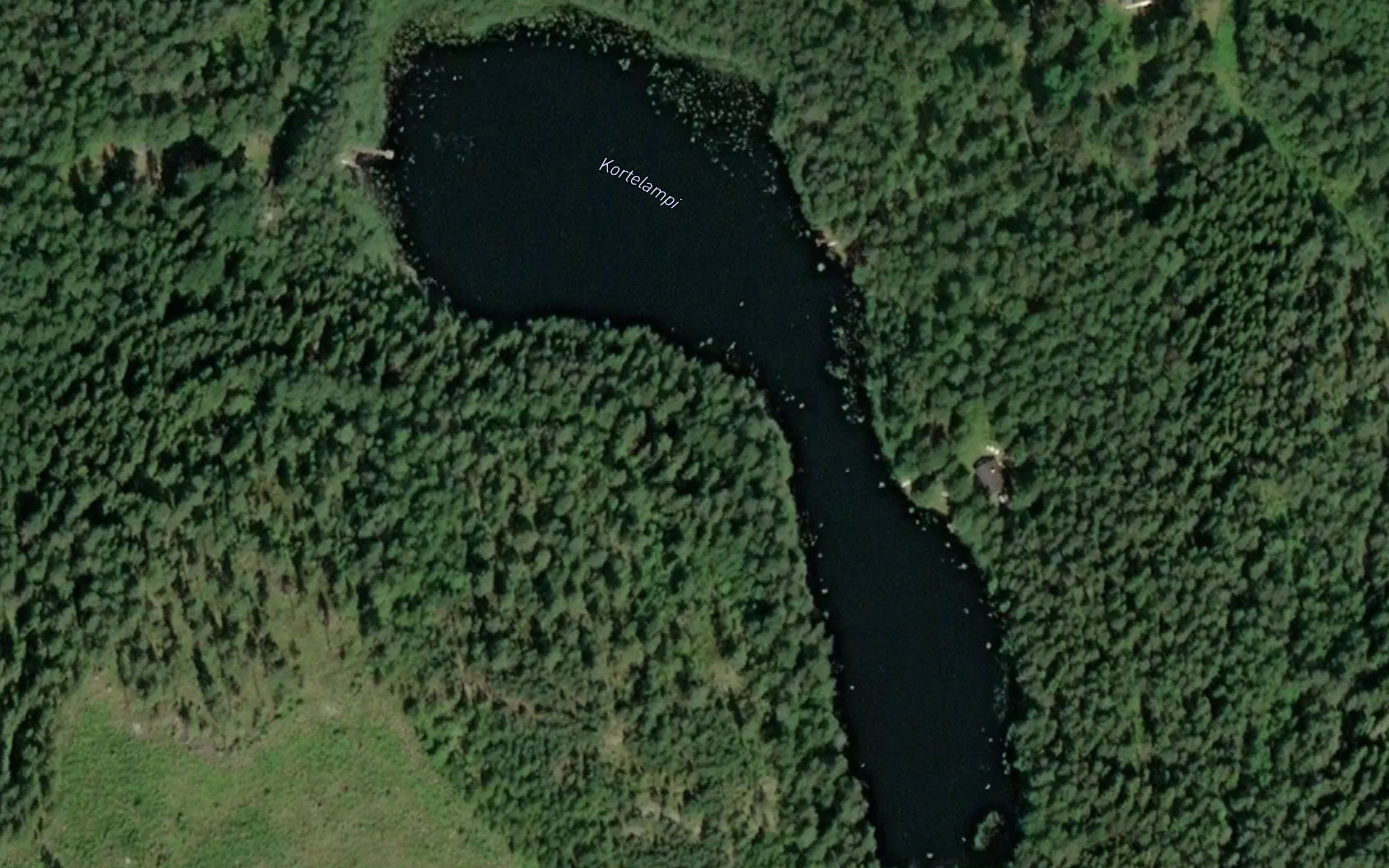 Kortelampi