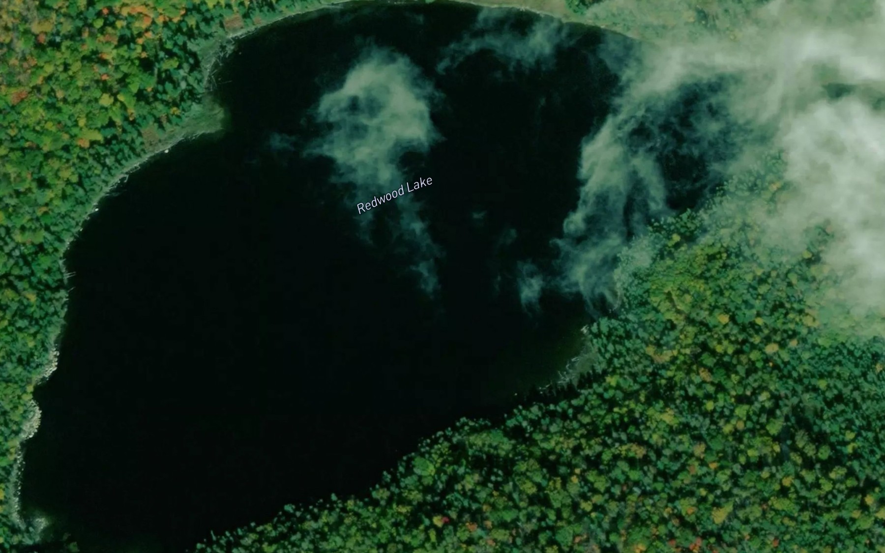 Satellite map of the Redwood Lake