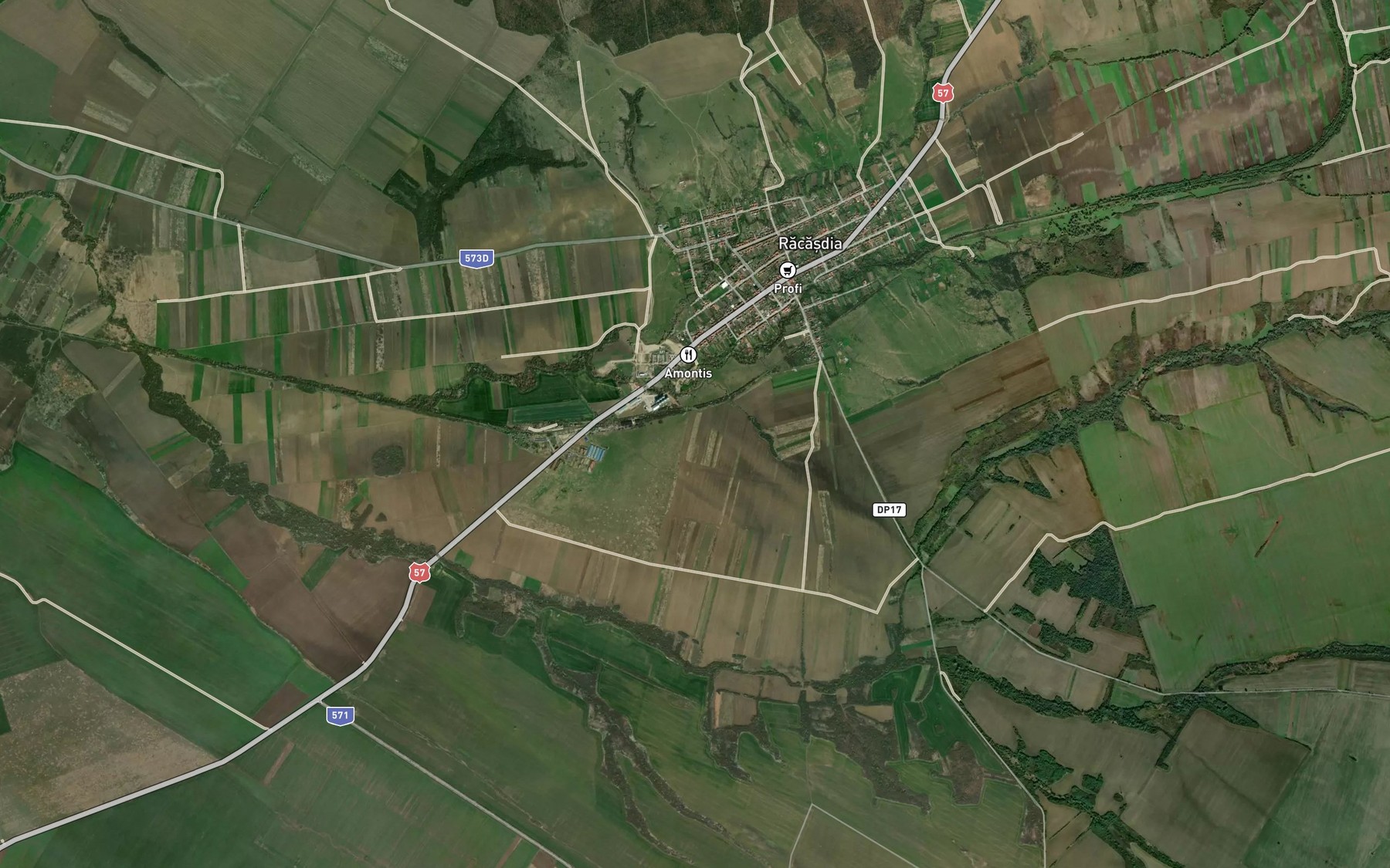 Satellite map of the Valea Lunga