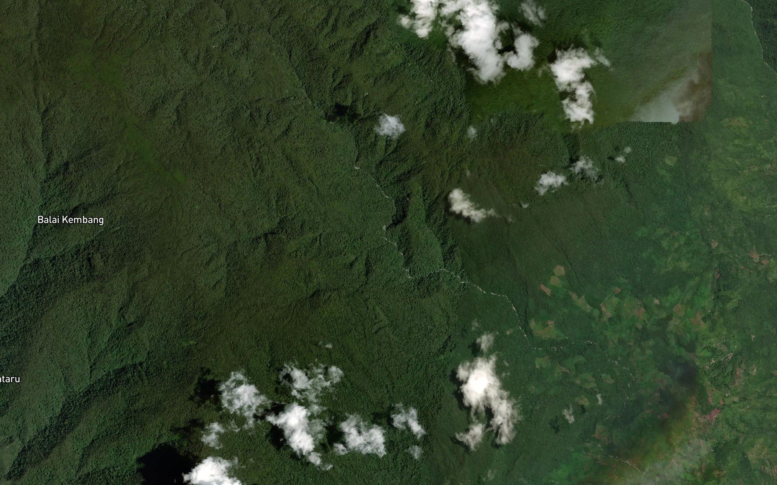 Koro Tanasugi